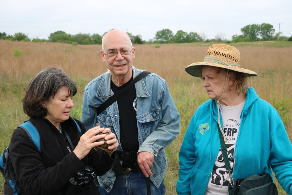 Three members of the Chicago Herpetological Society (Mike Dloogatch, Linda Manchen-Malawy, and Nancy Kloskowski) examining an ornate box turtle ( Terrapene o. ornata ), species #32 for The Big Turtle Year, at the Thomson-Fulton Sand Prairie State Nature Preserve in Whiteside County, Illinois. Photograph by George L. Heinrich.