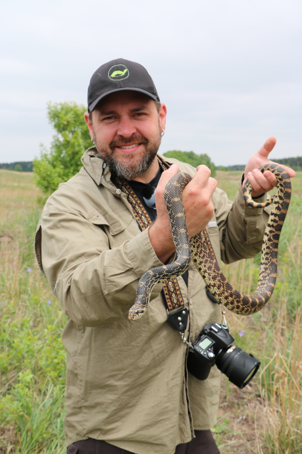 James Krause examining an adult bullsnake ( Pituophis catenifer sayi ) at the Thomson-Fulton Sand Prairie State Nature Preserve (Whiteside County, Illinois). Photograph by George L. Heinrich.