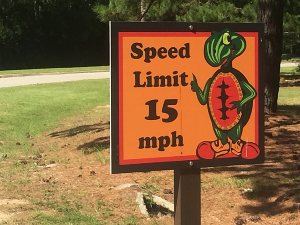 A quirky roadsign featuring the Alabama red-bellied cooter at the Five Rivers Delta Resource Center (Baldwin County, Alabama). Photograph by Timothy J. Walsh.