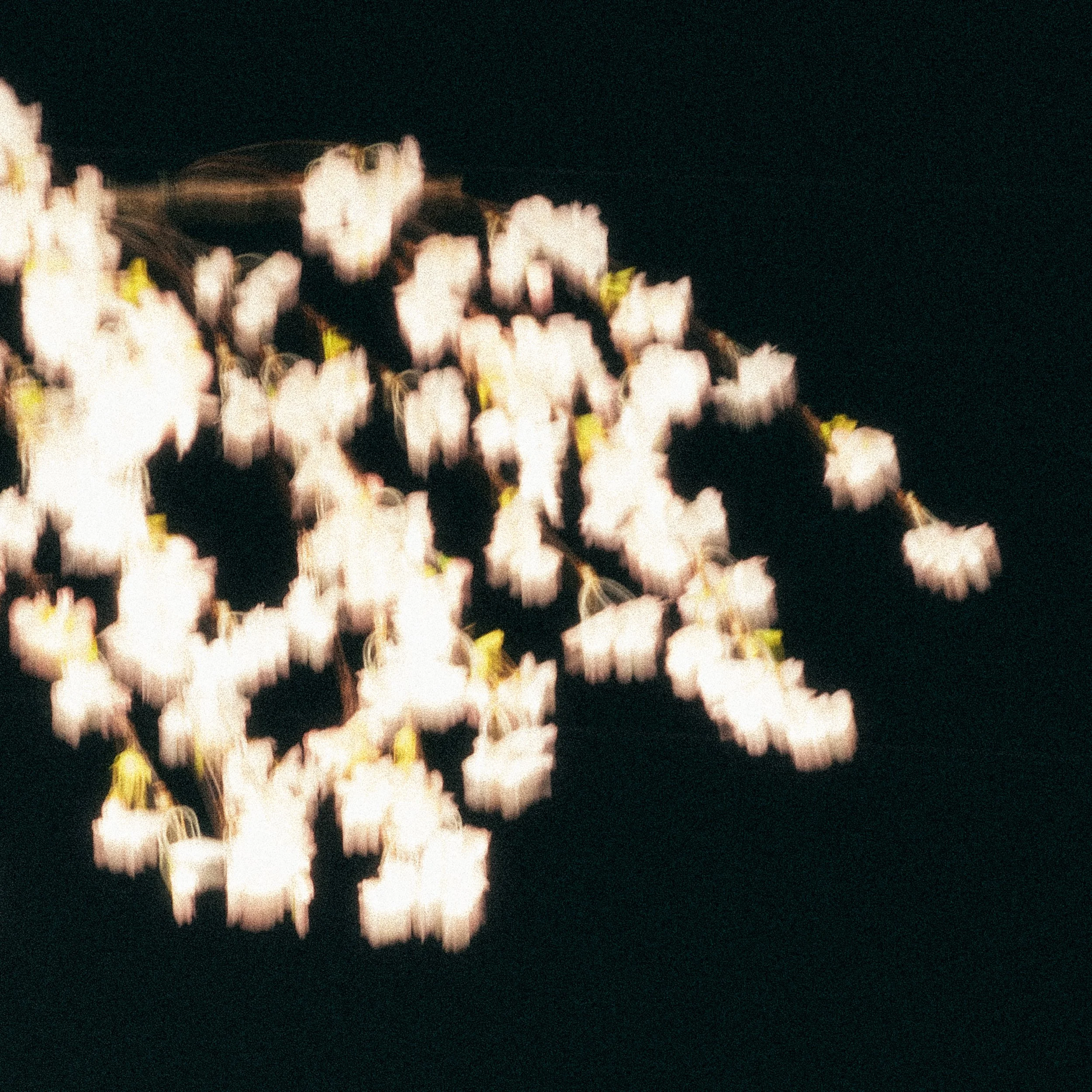 chaos-08.jpg