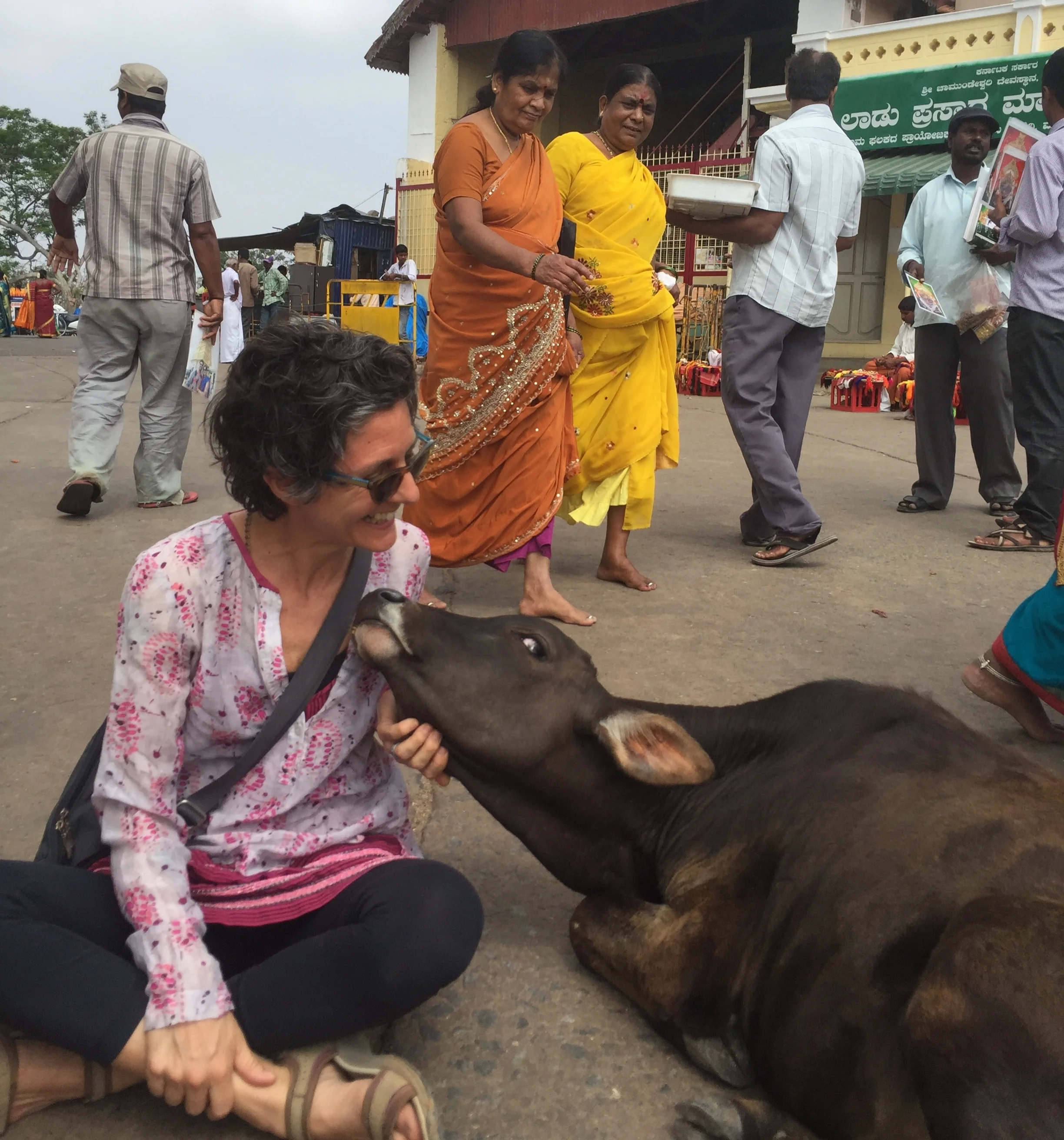 Mysore, 2016