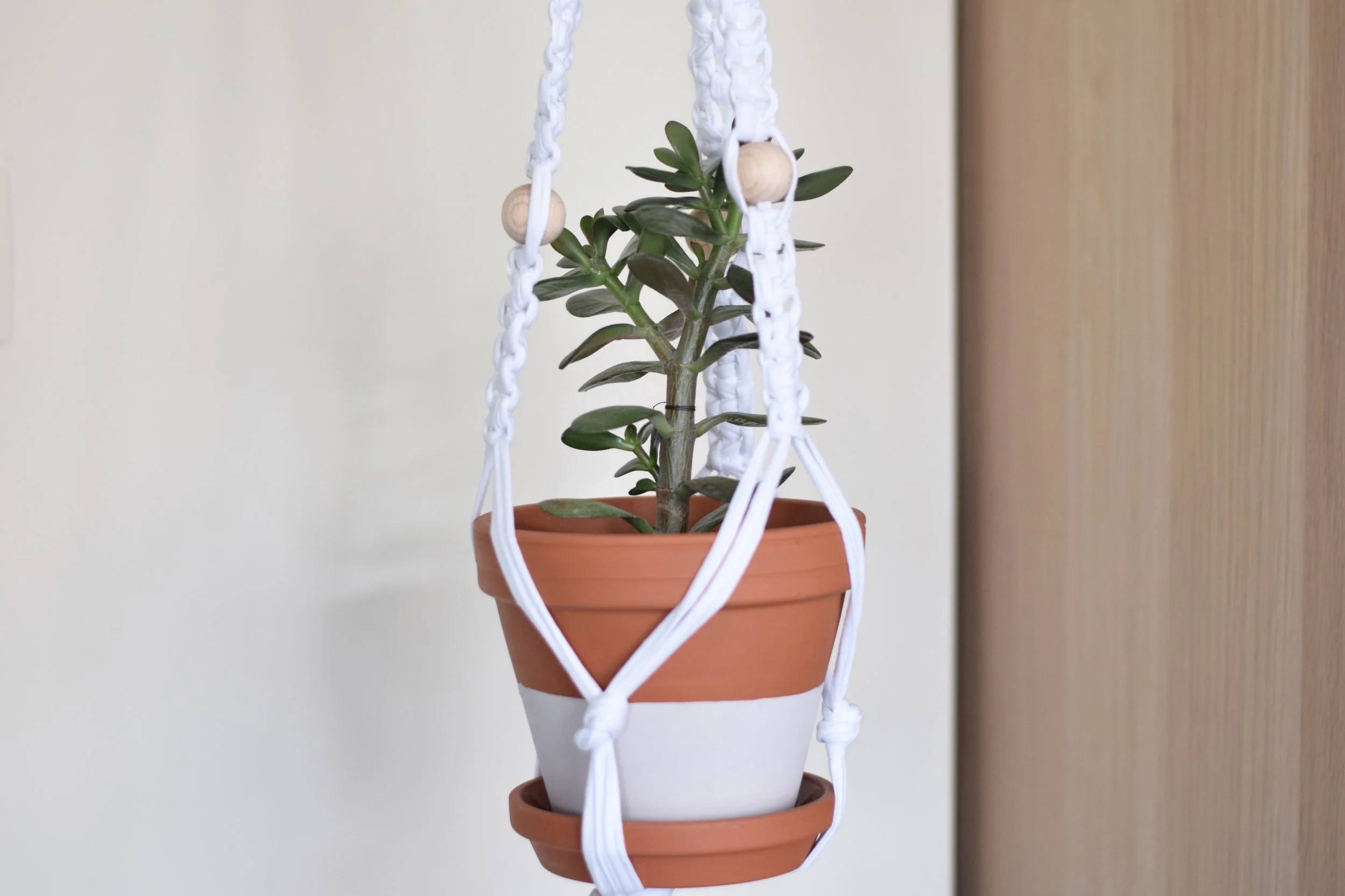 Clo Clo plantenhanger.jpg