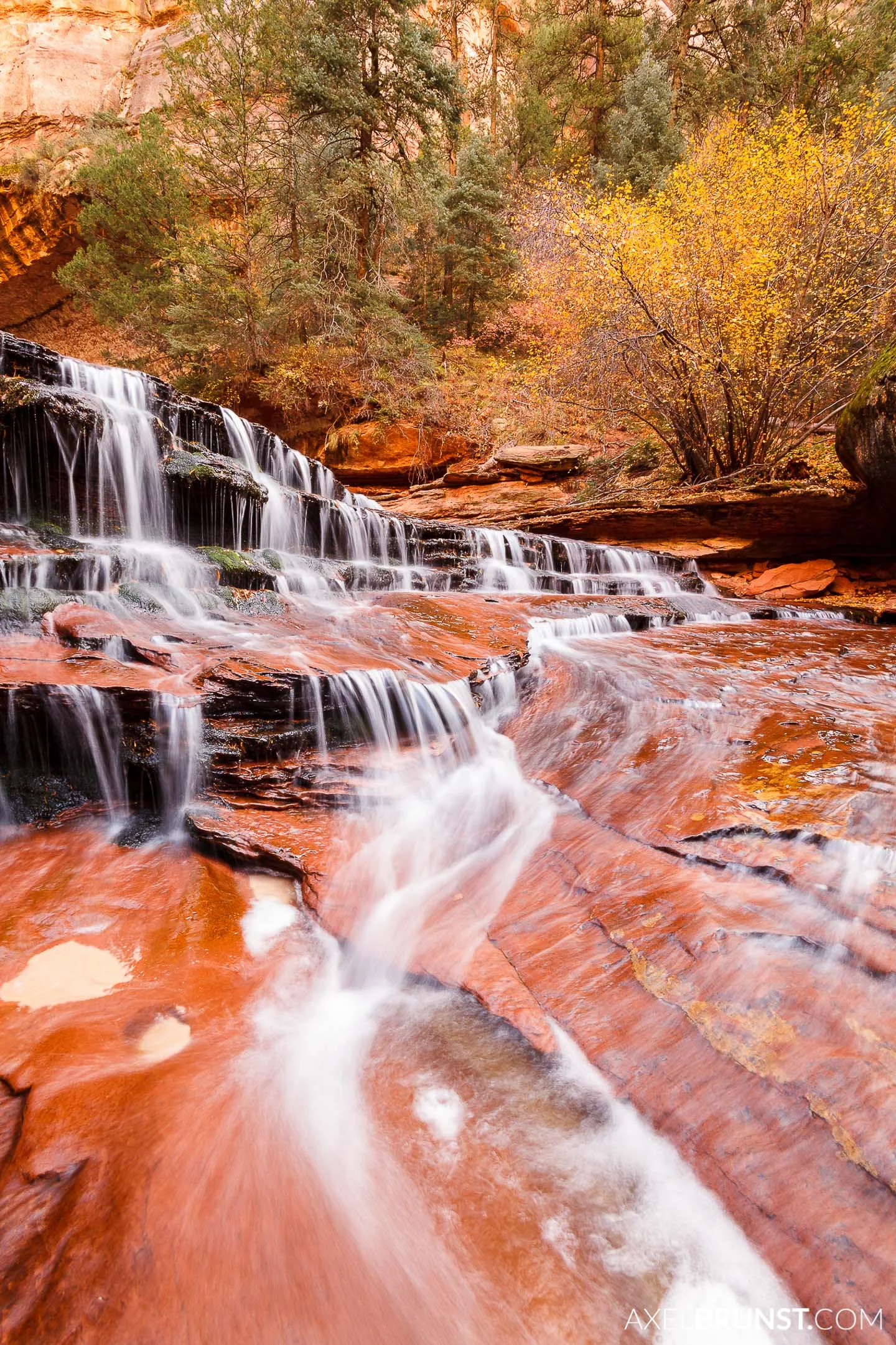 Zion-national-park-utah-3.jpg