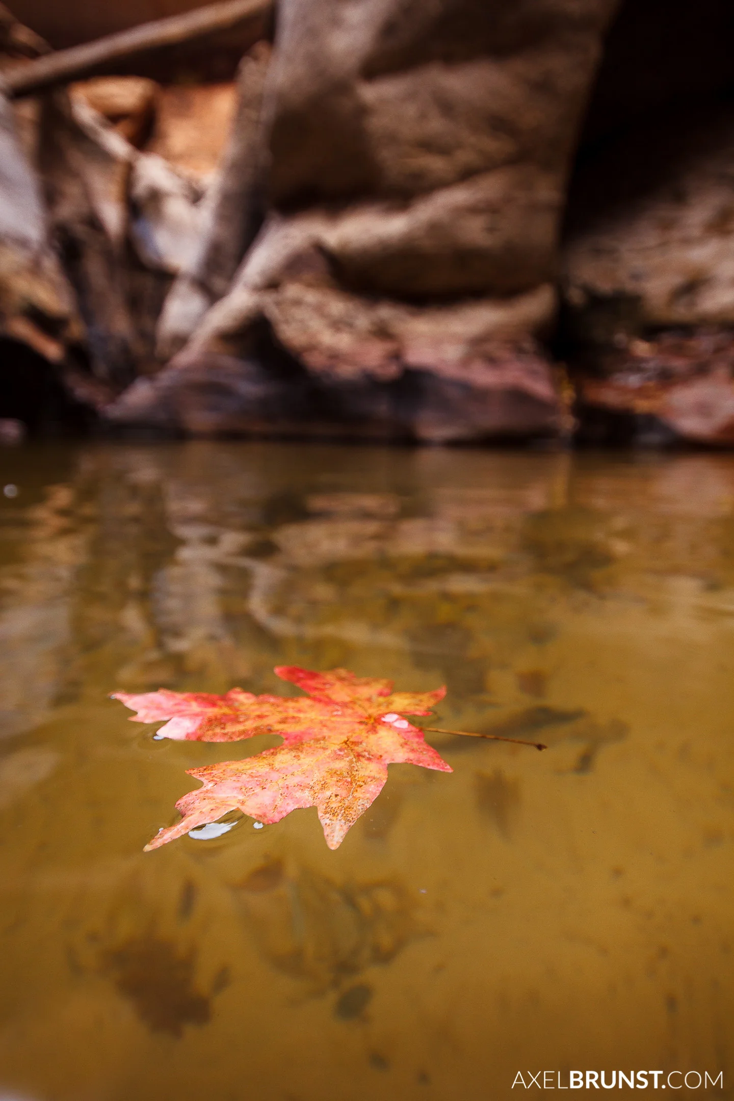 Zion-national-park-utah-5.jpg