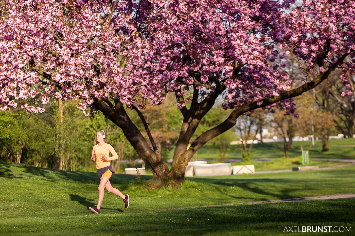 running-münchen-olympiapark-3.jpg