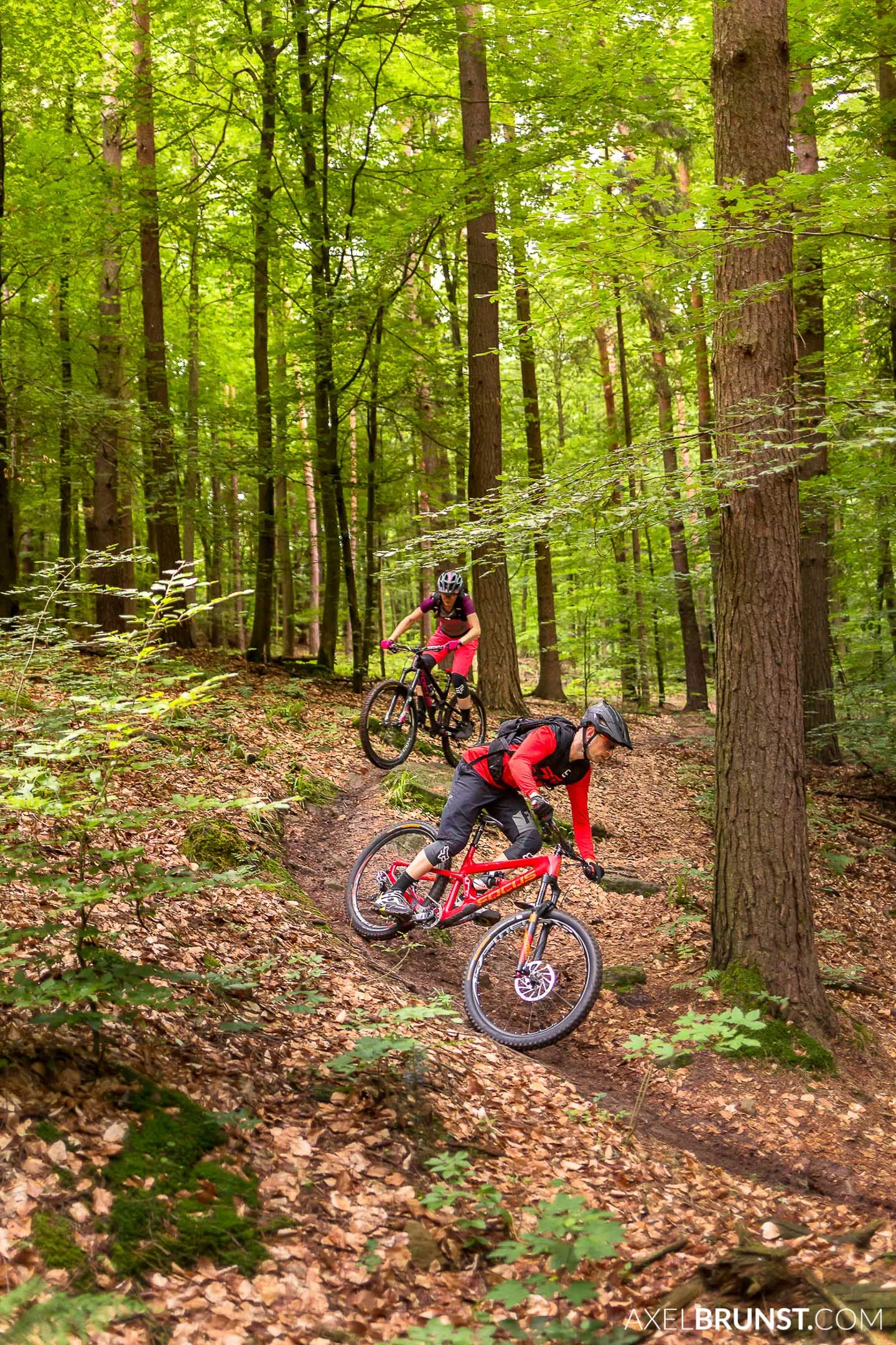 mountain-biking-in-stuttgart-12.jpg