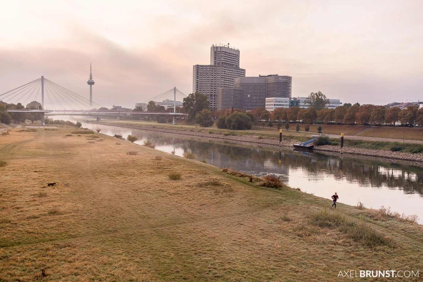 mannheim-running-photography-4.jpg