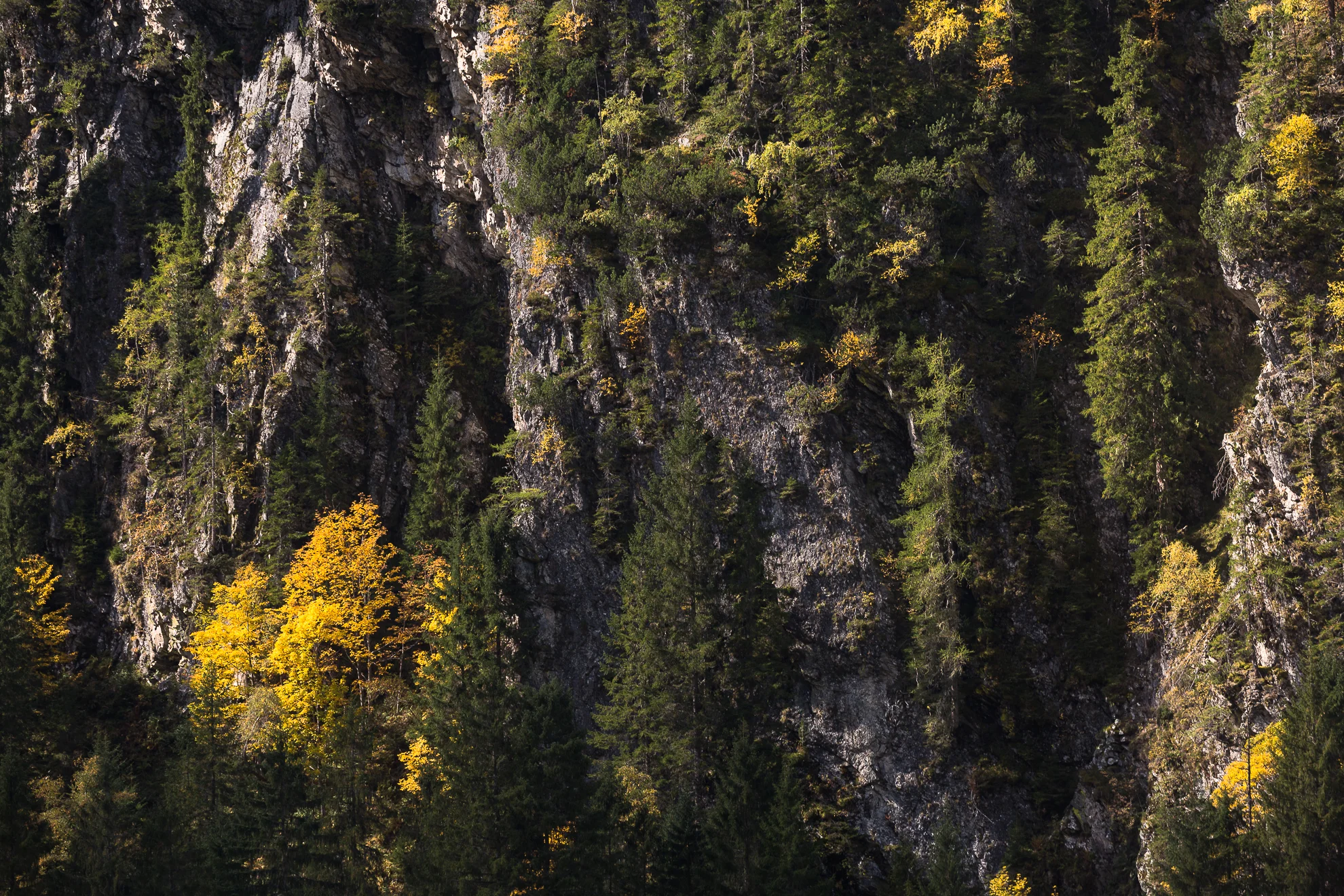 AB_20170929_Giglachsee-Österreich_036-7.jpg