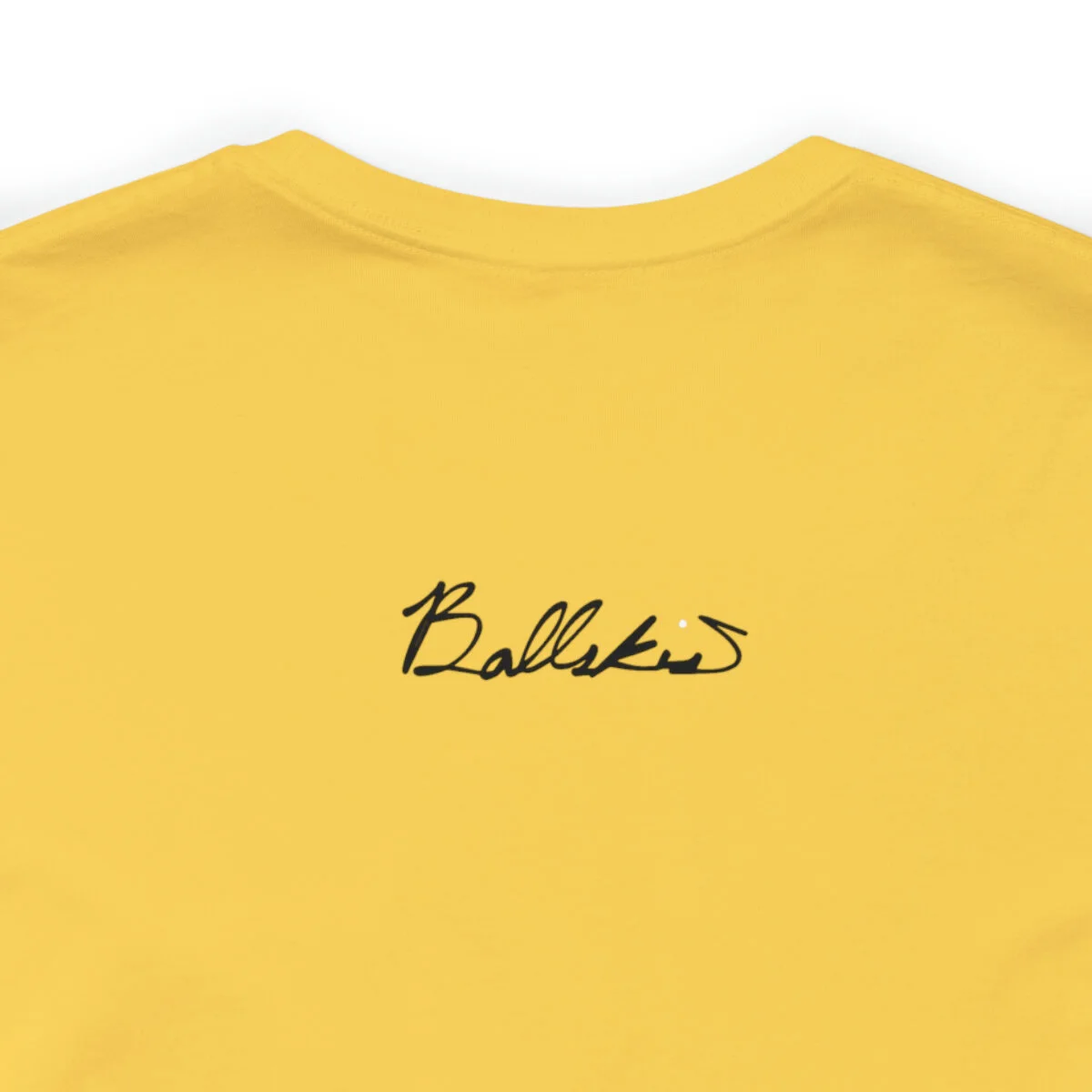 869a377d0102ae2b524d64834a614cdd