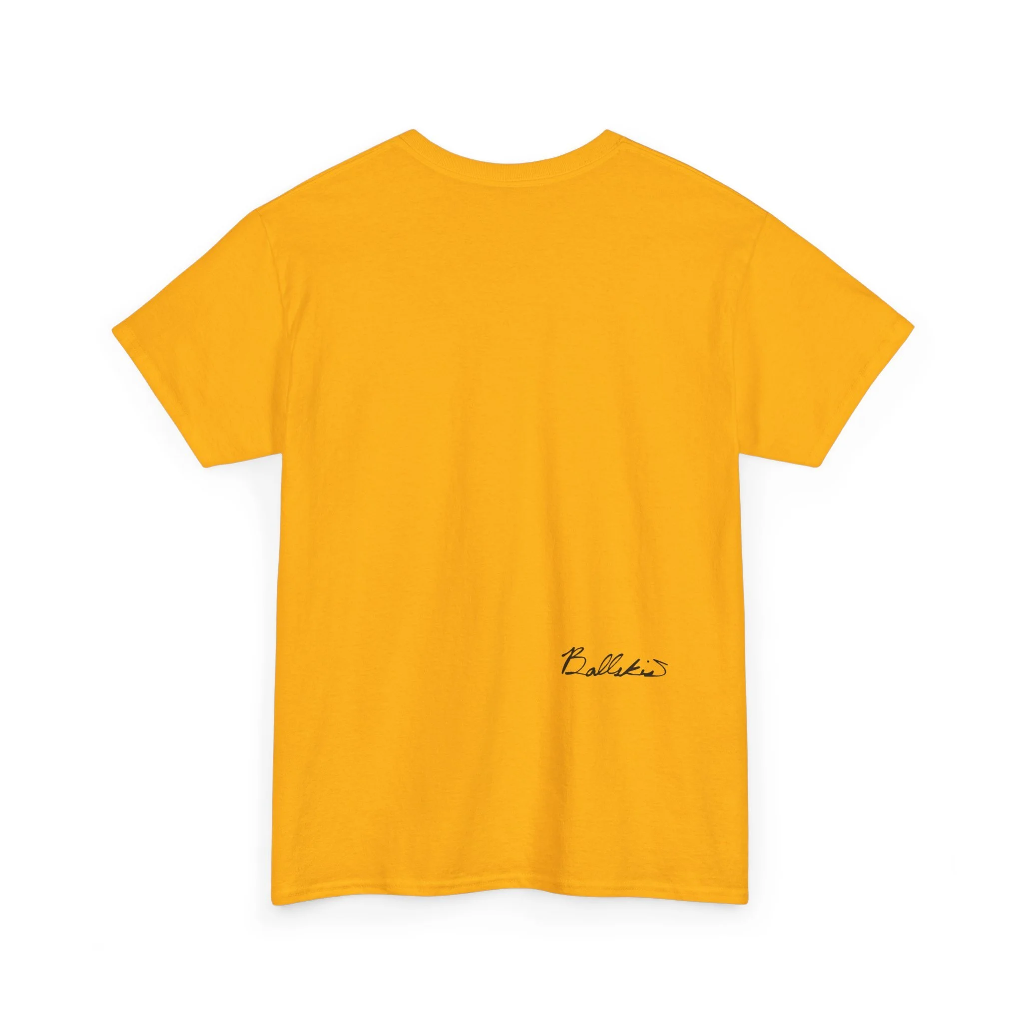 04a94f141b47f5e164a1417f96919607