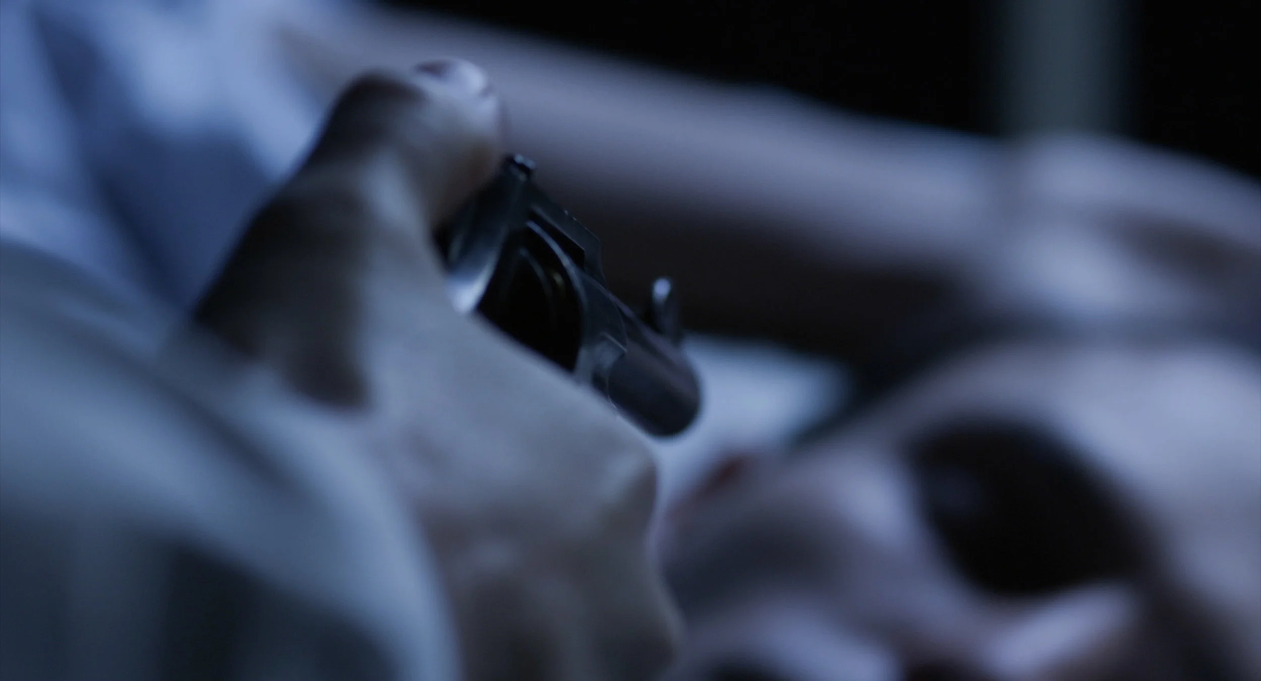 Chubbie Holding gun_.jpg