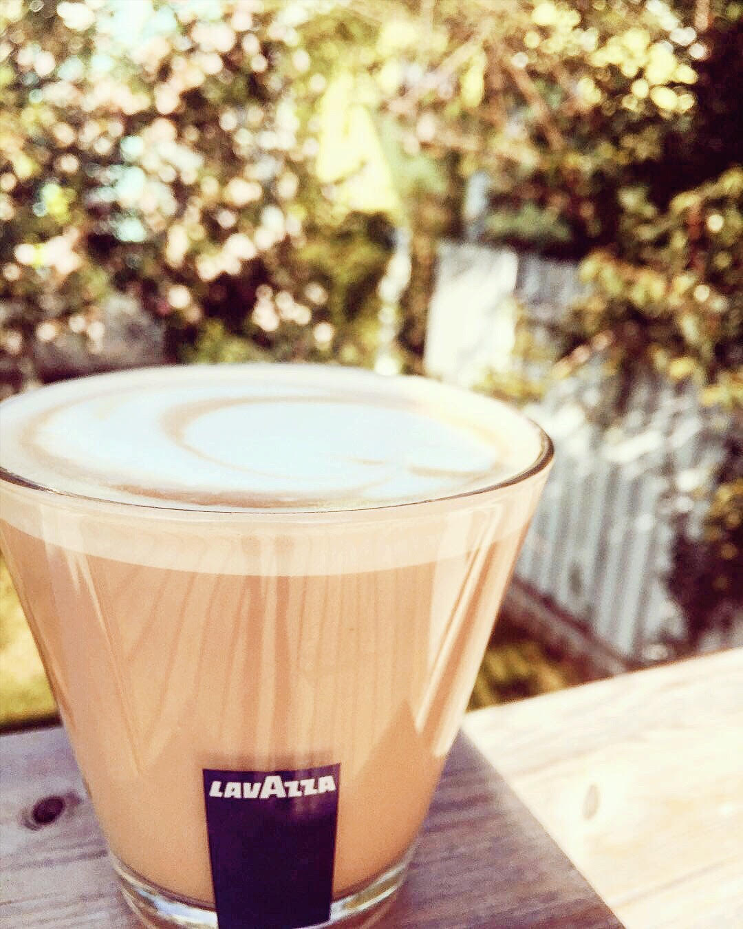 lavazza cup.jpg