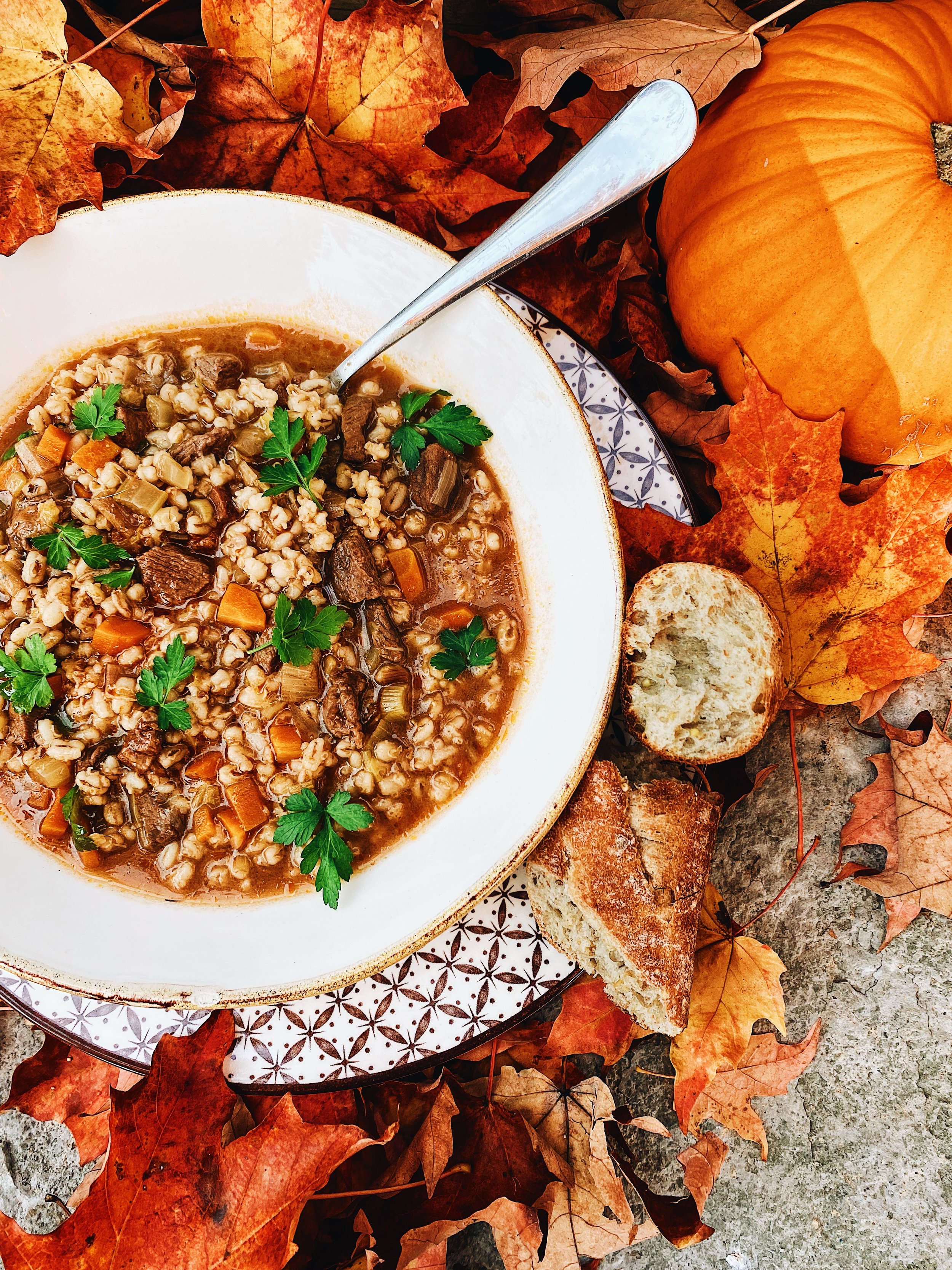 Beef &amp; Barley Soup