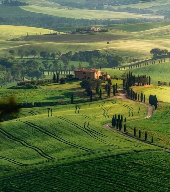 My Tours is now live! 

Join me on my first group tour this September - Tuscany during Harvest Season

Subscribers to Shaking Out The Tablecloth please check your inbox for all the details. 

If you haven&rsquo;t yet subscribed please link in the bio