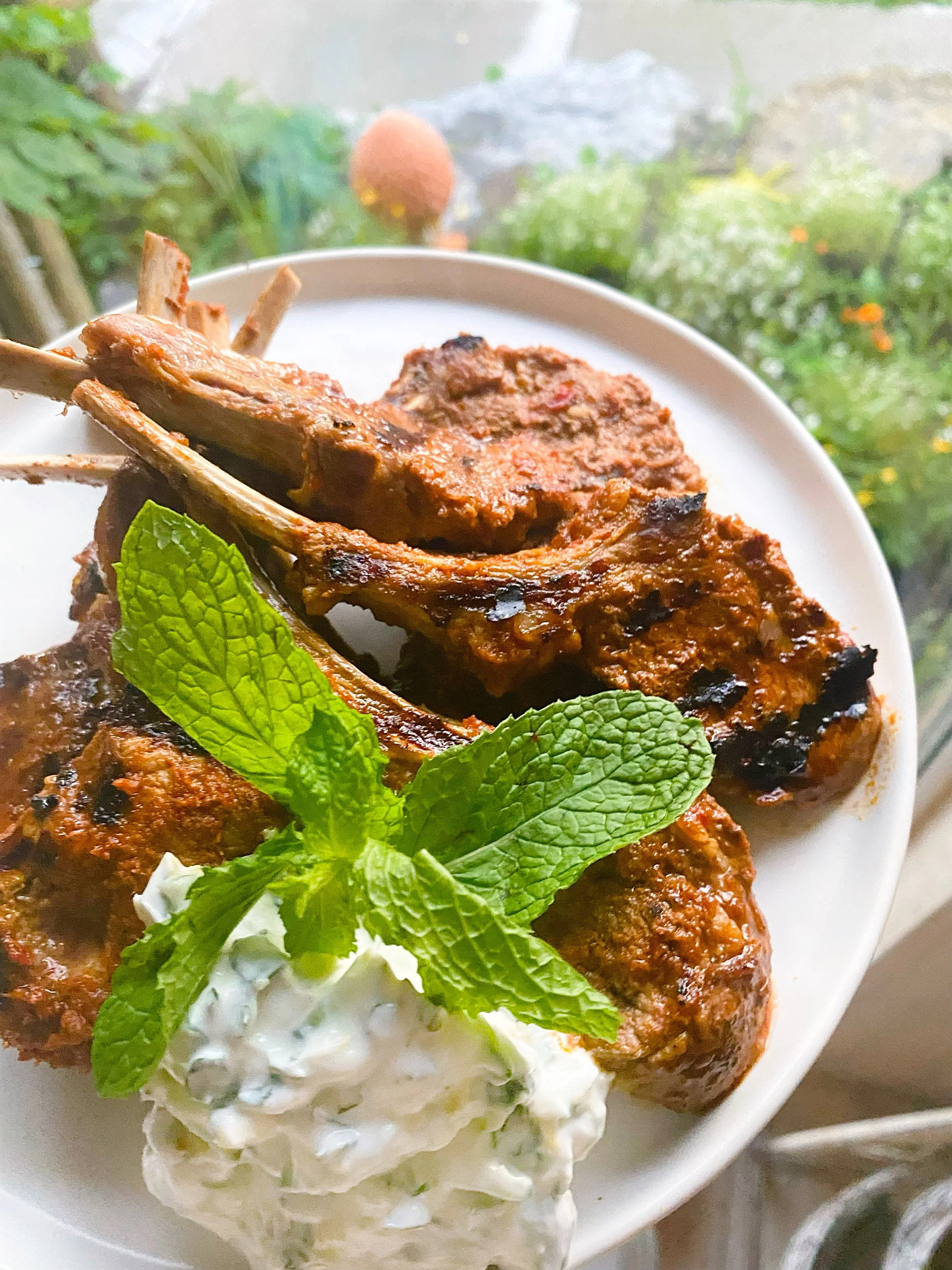 Harissa Lamb