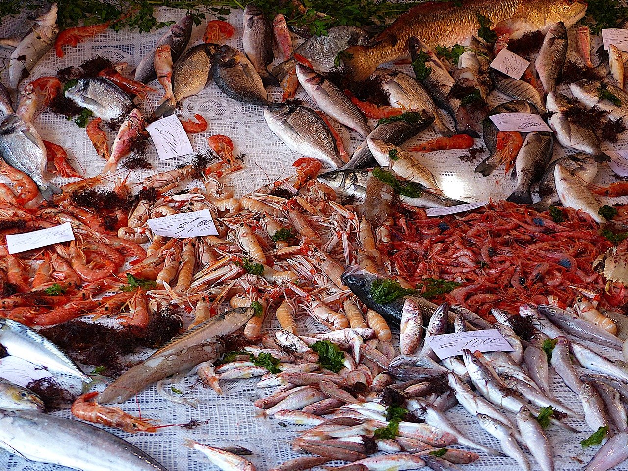 Fish.JPG
