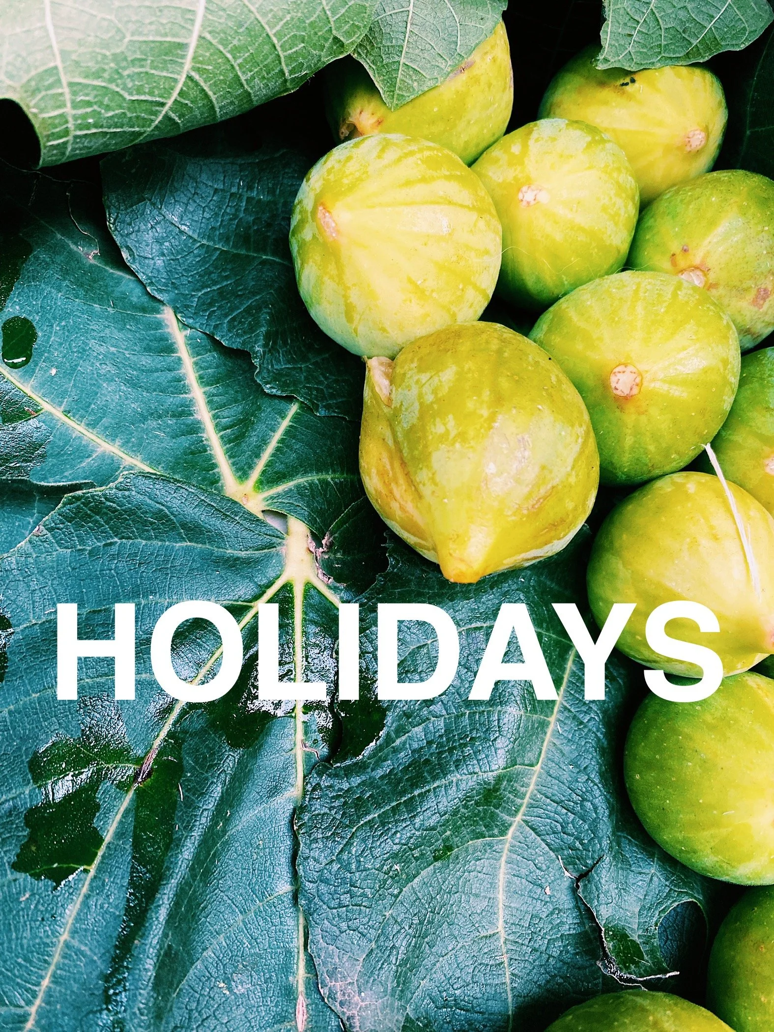 Holidays