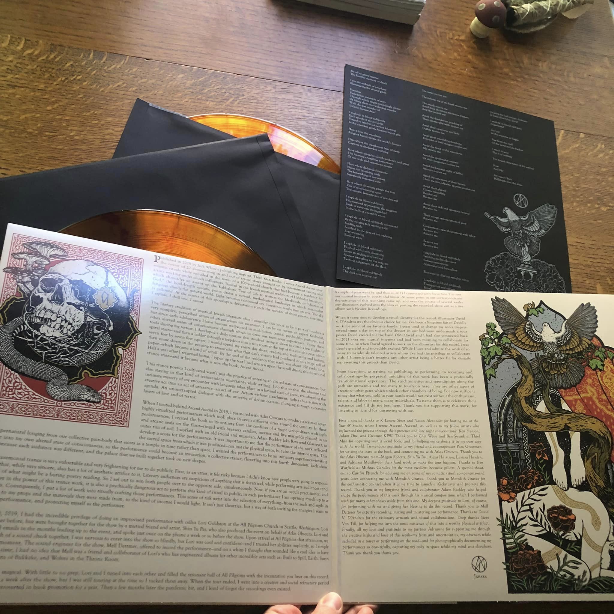 Ascend in hand 2.jpeg