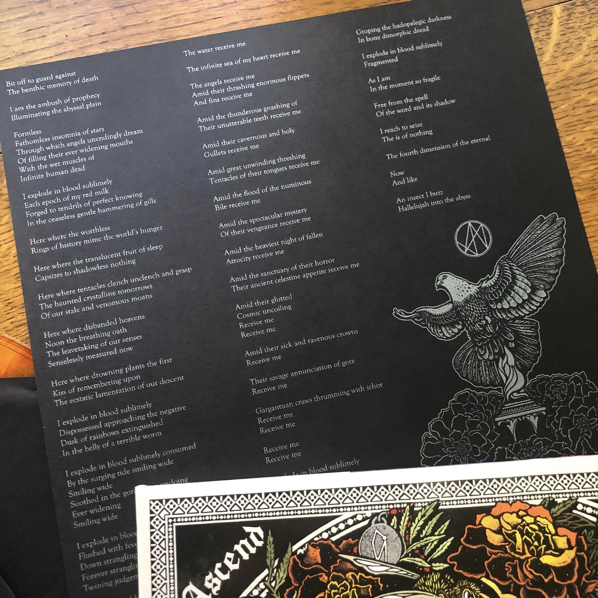 Ascend in hand 4.jpeg