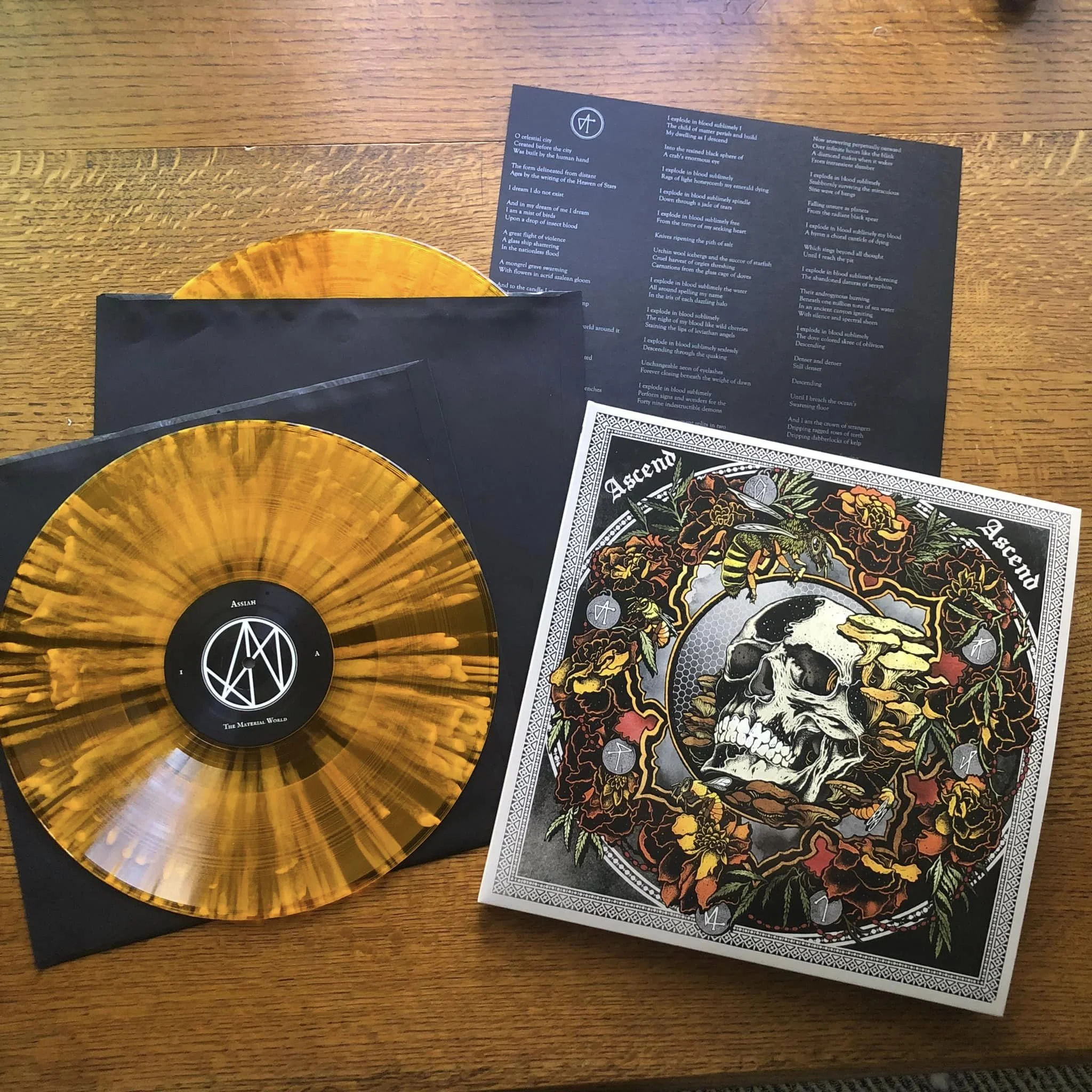 Ascend in hand 1.jpeg