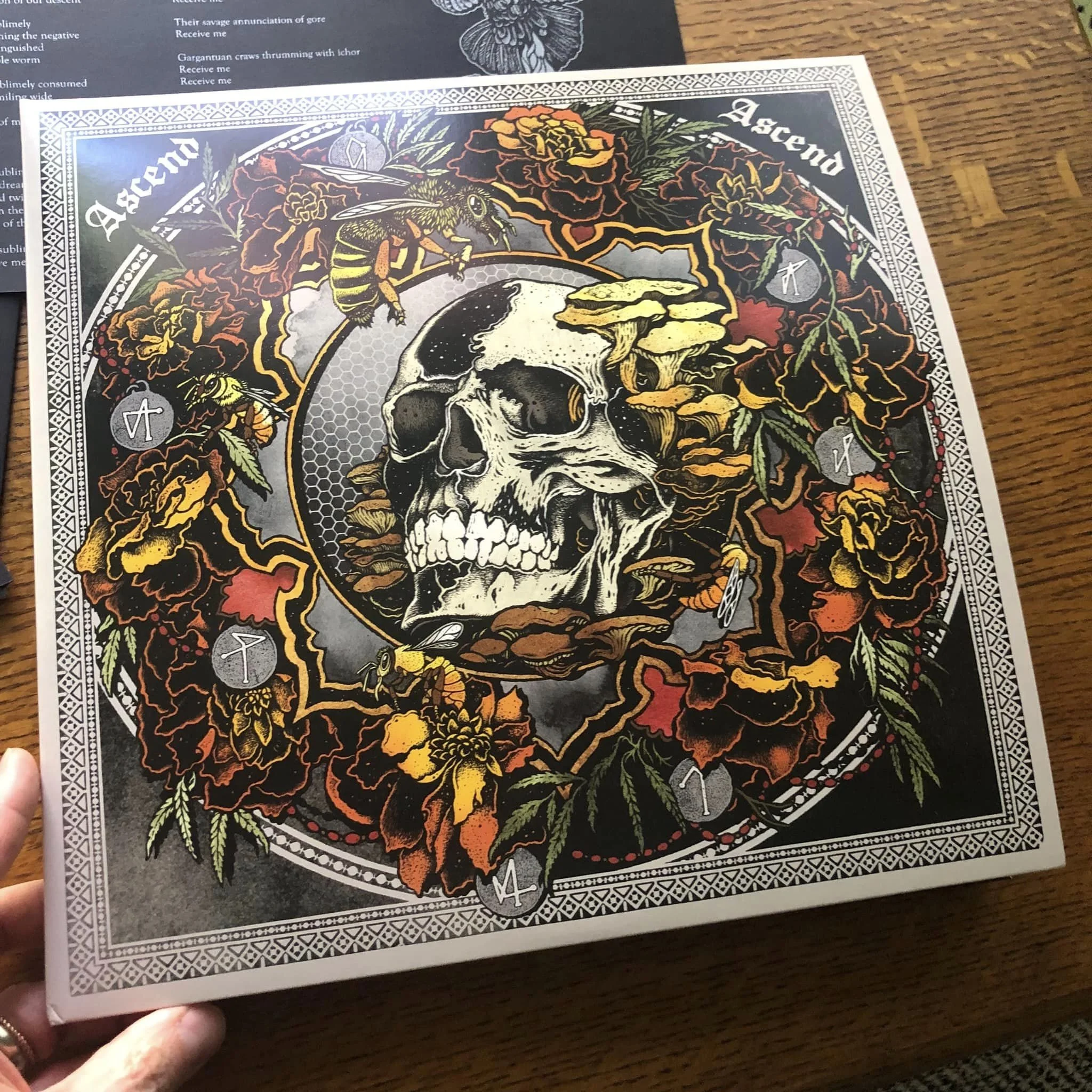 Ascend in hand 5.jpeg