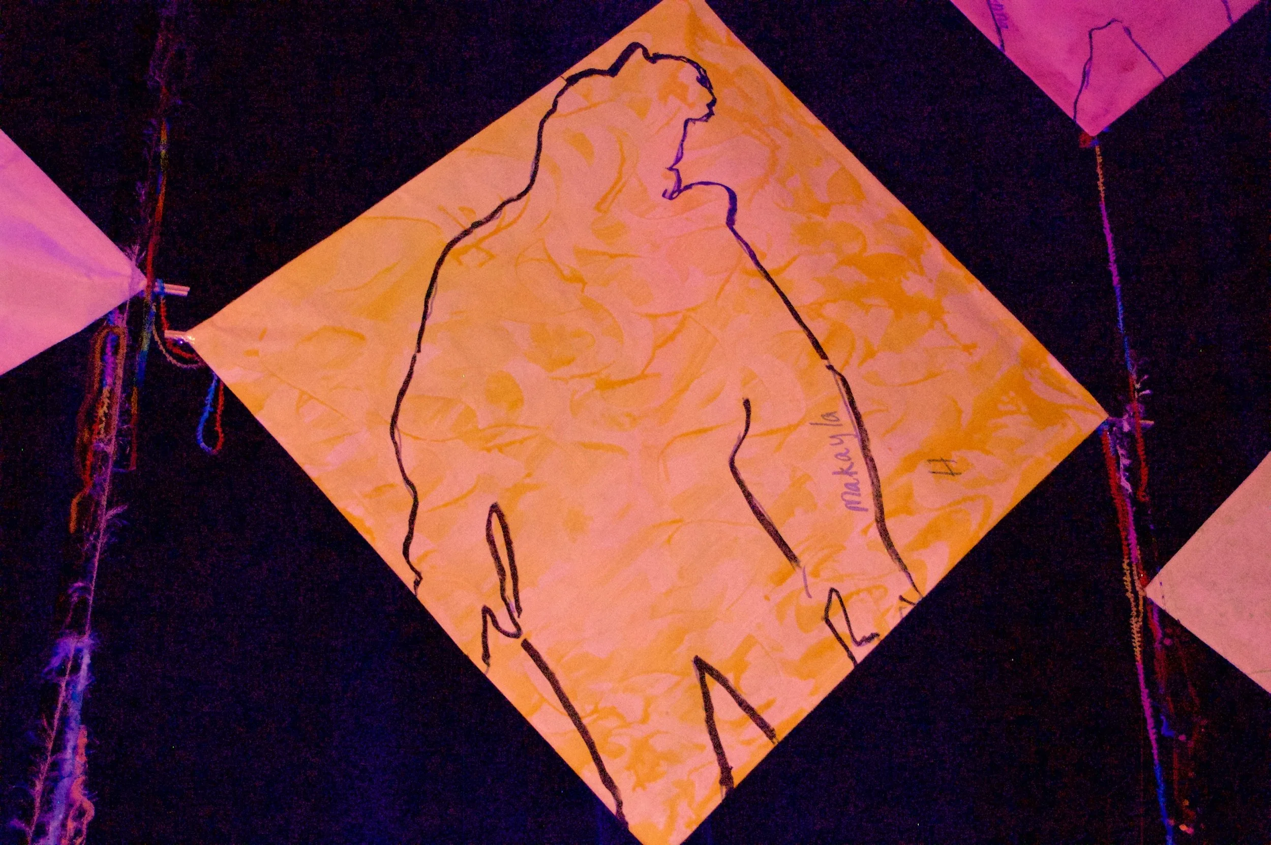 Kites - Makayla's - Peekskill.jpg