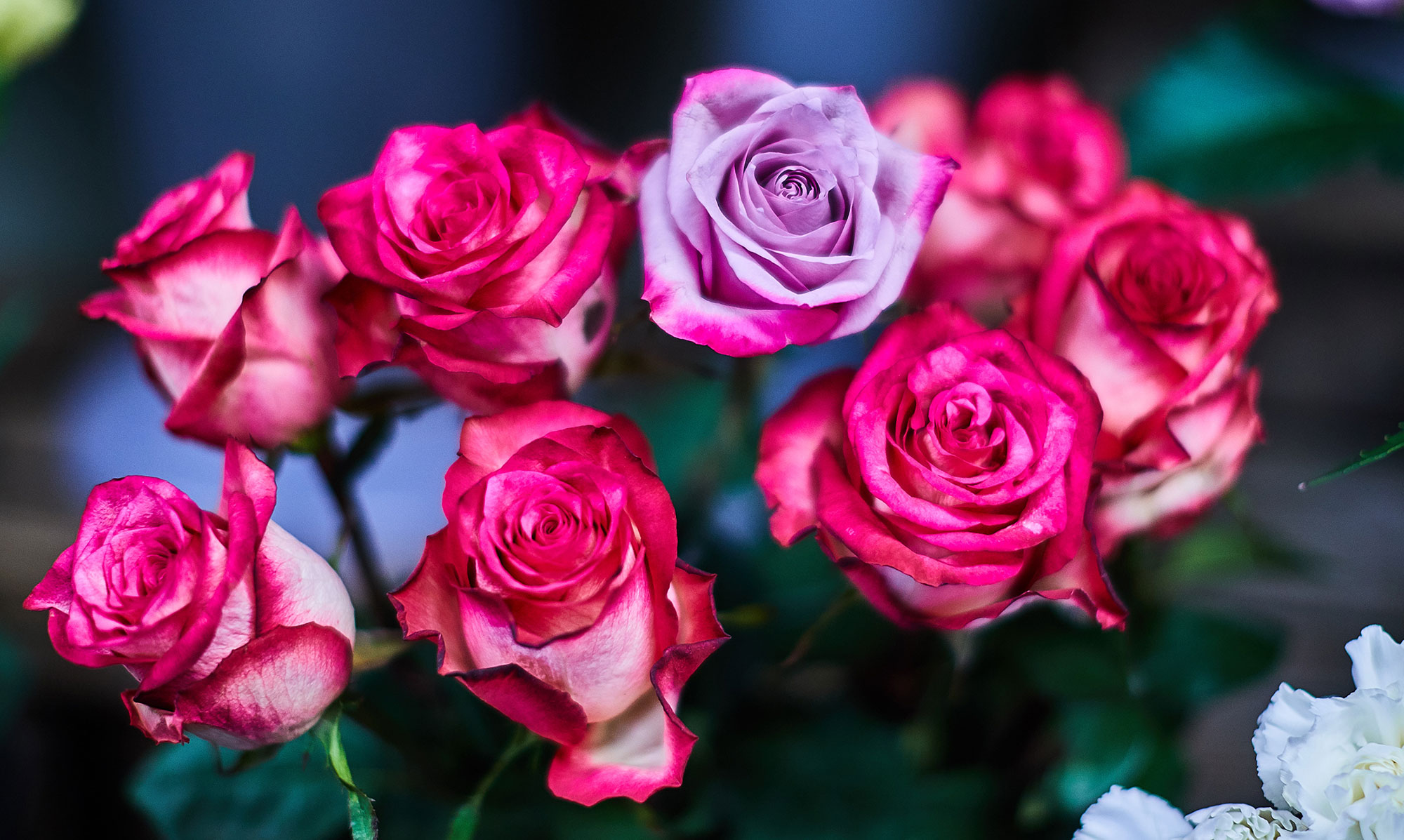 perkins-florists-duston-northamptonshire-11a.jpg