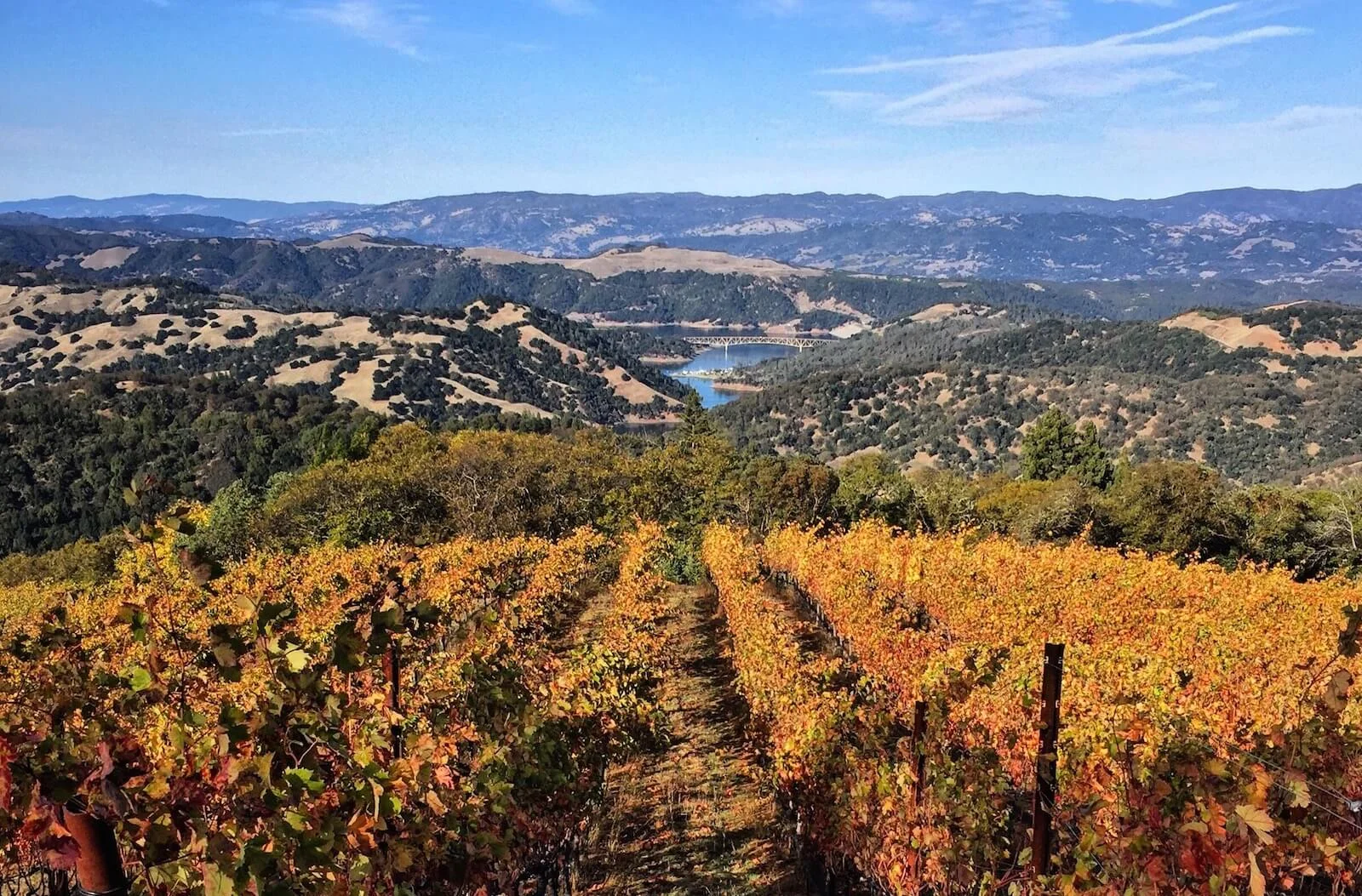 Lake Sonoma.JPG