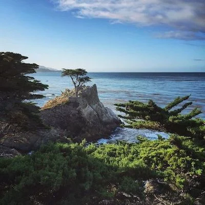 The Lone Cyress tree at Pebble Beach