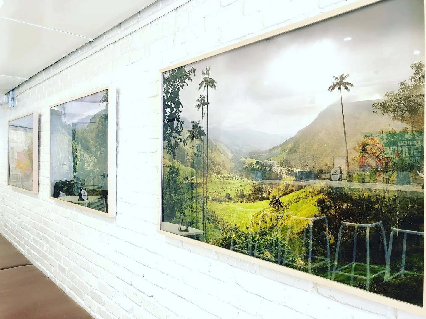 when the weather don&rsquo;t collaborate 🥶 you can come to look at the beautiful pictures of the #coffeeregion of Colombia 🇨🇴 to alleviate the view 🧚🏽&zwj;♀️ palm trees, deep green mountains ⛰ and of course, a lot of coffee trees 🌳 

this amazi