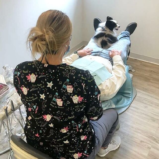 Did we mention we ❤️ dogs?? Our patient's furry friend Biscuit sat in his lap during his entire appointment yesterday. Biscuit's adorableness totally made our day! Those ears!!
.
.
.
.
.
#apexdentist #apexnc #hollyspringsnc #hollyspringsdentist #pupp