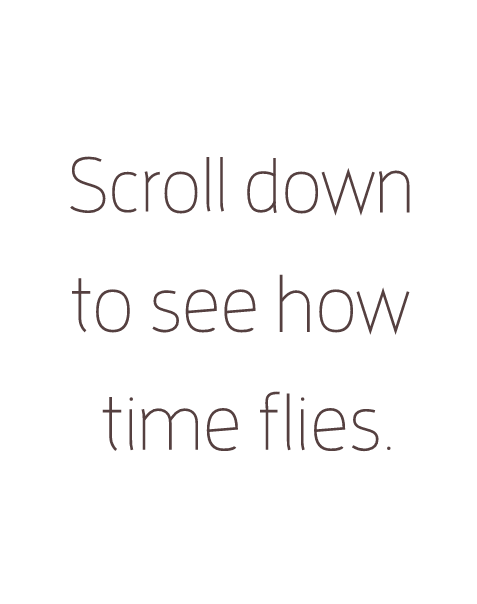 Time Flies