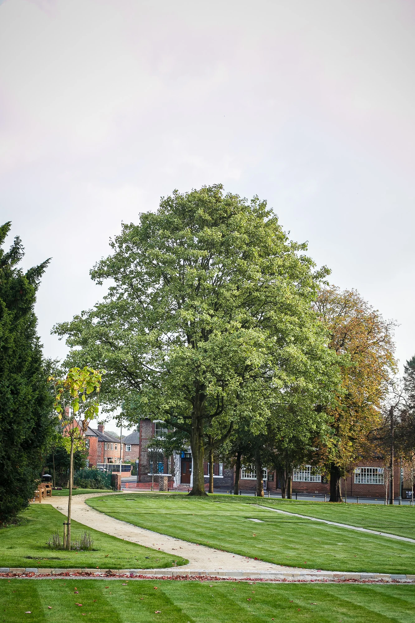 Cheadle Green_manchester_tom_biddle_architectural_landscape_photography_tb08.jpg