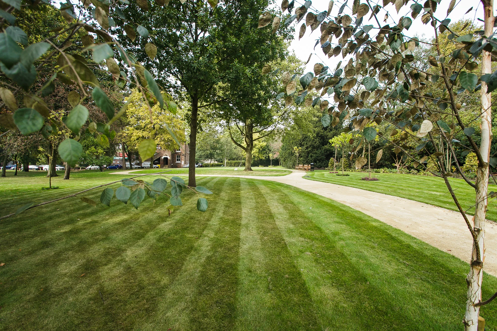 Cheadle Green_manchester_tom_biddle_architectural_landscape_photography_tb22.jpg