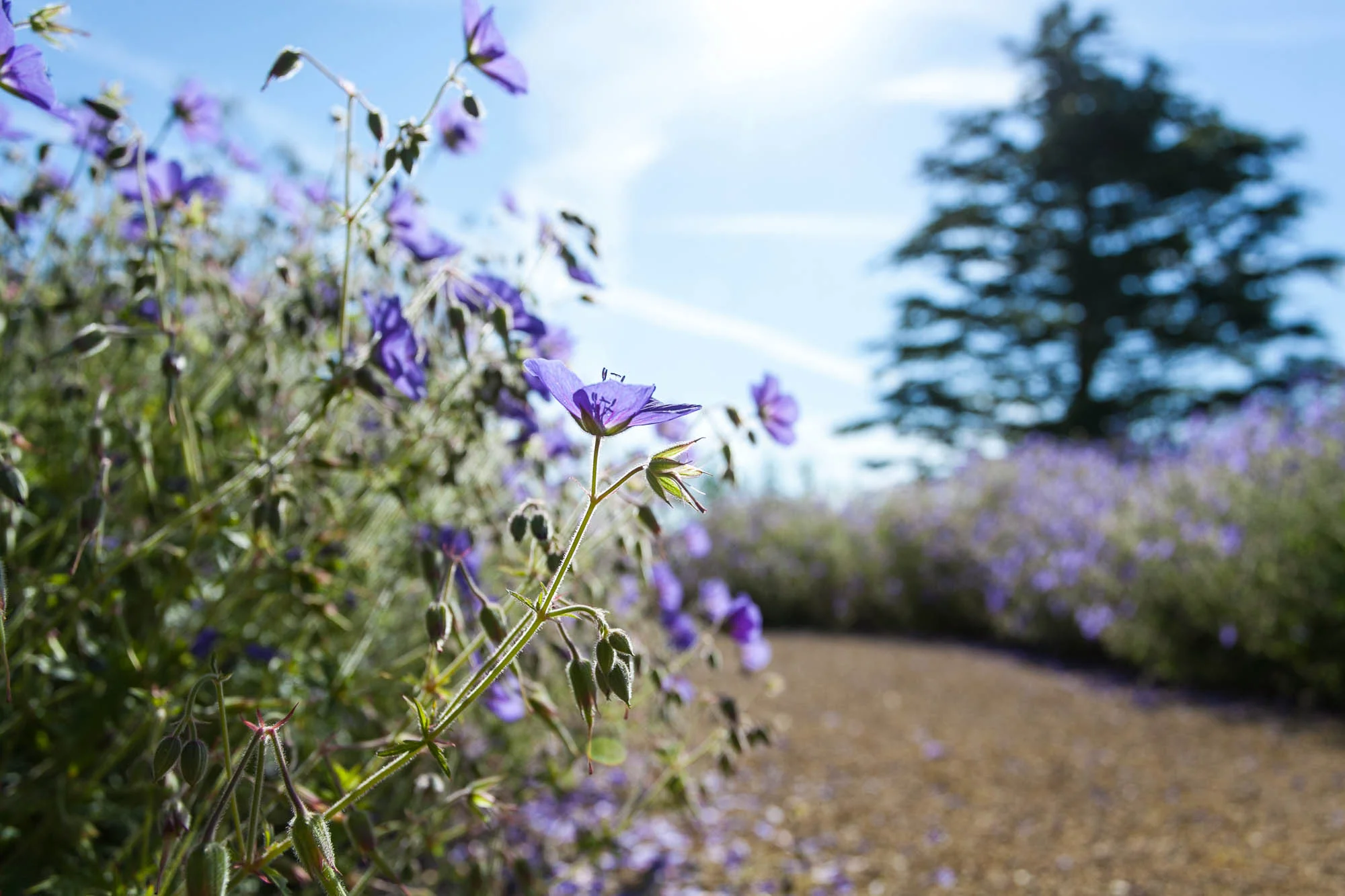 salisbury house_TB-33.jpg