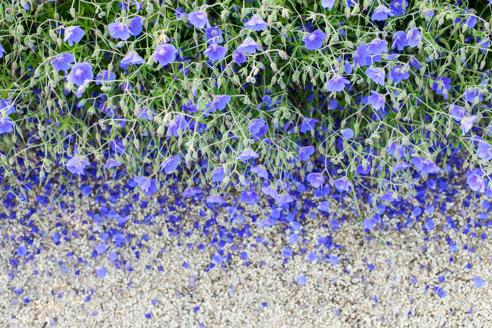 salisbury house_TB-110.jpg