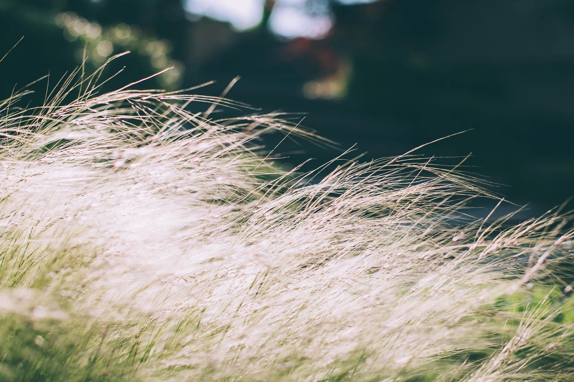 salisbury house_TB-124.jpg