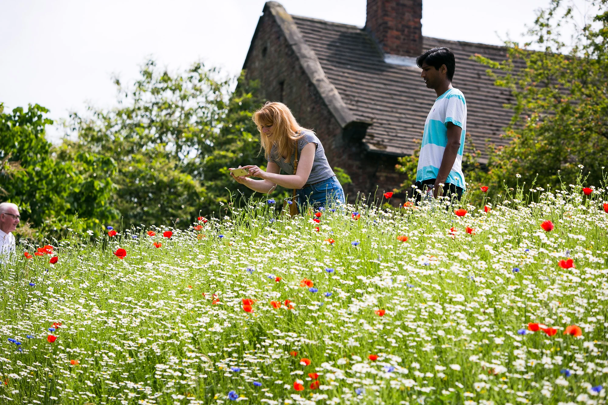 Dunham massey_manchester_tom_biddle_architectural_landscape_photography_tb01.jpg