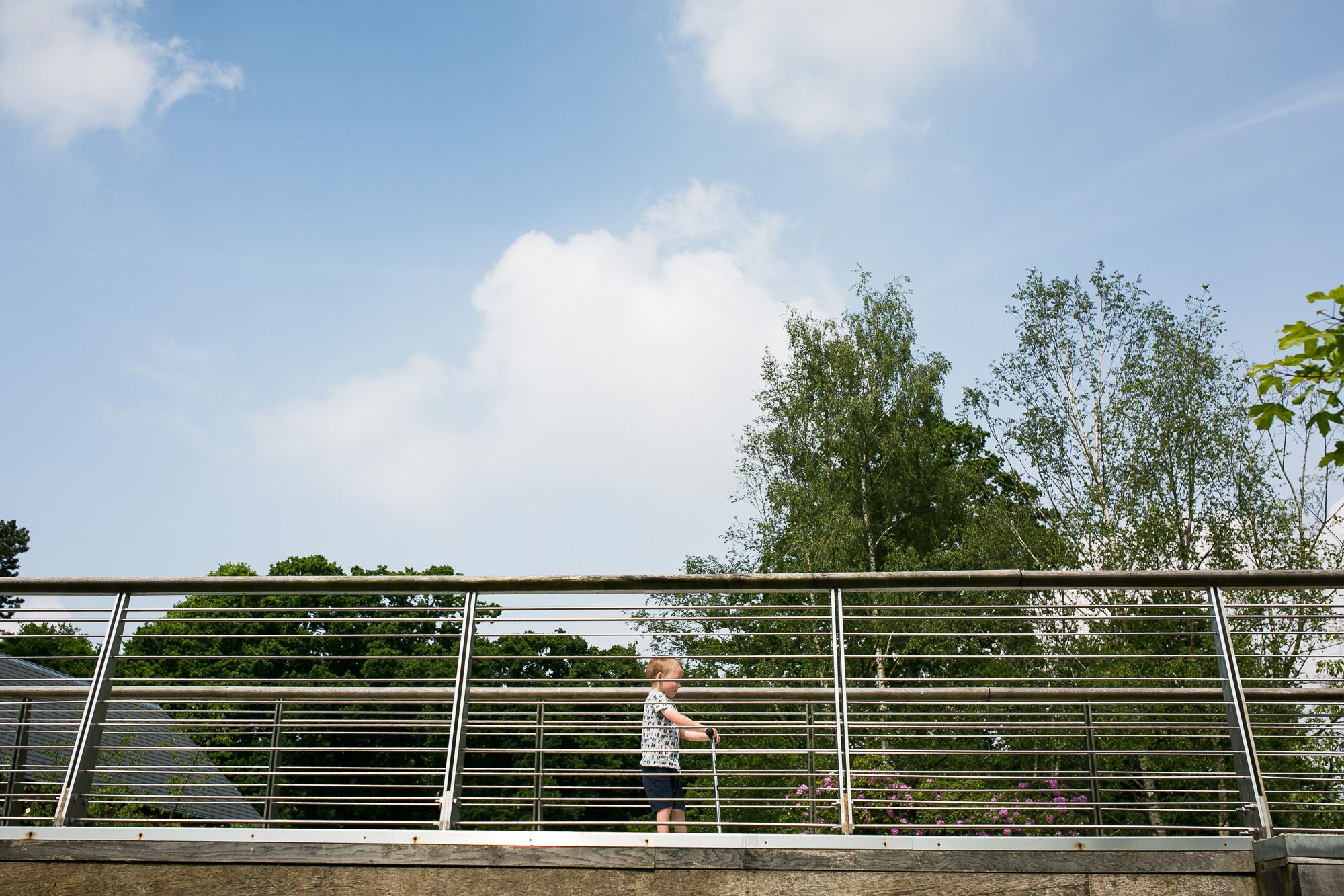 Dunham massey_manchester_tom_biddle_architectural_landscape_photography_tb13.jpg