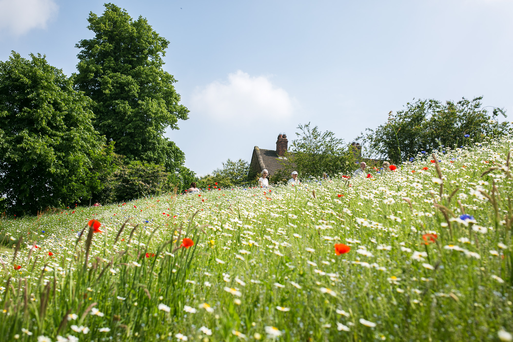 Dunham massey_manchester_tom_biddle_architectural_landscape_photography_tb14.jpg