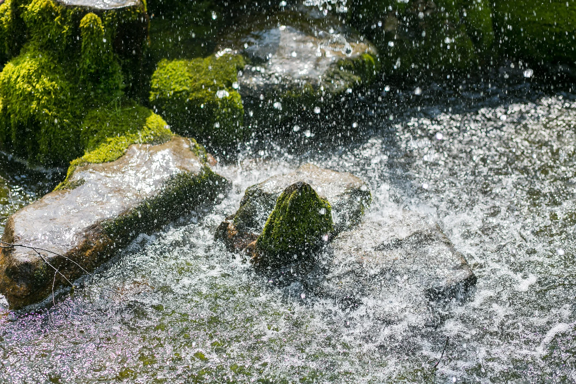 Dunham massey_manchester_tom_biddle_architectural_landscape_photography_tb16.jpg