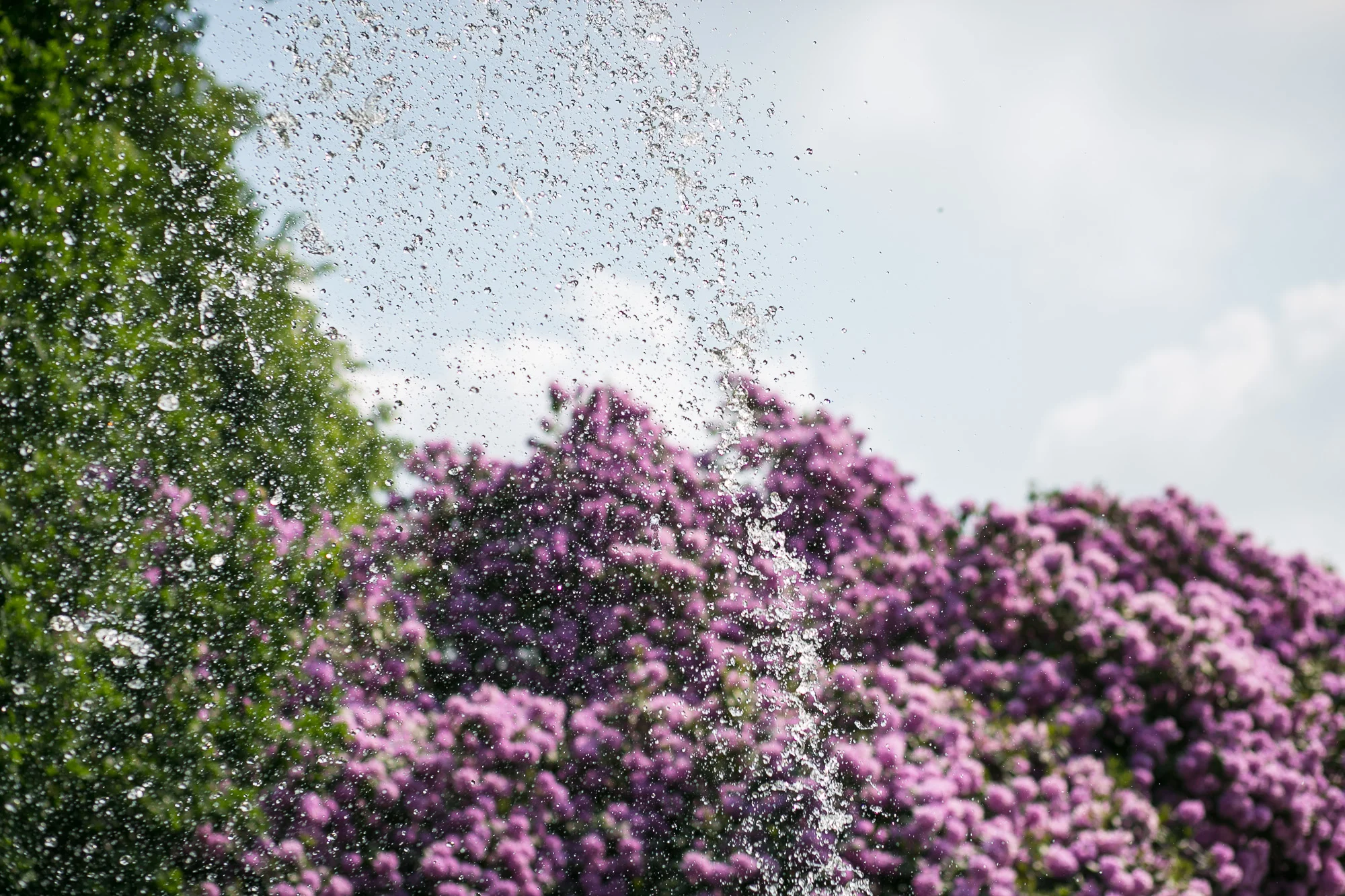 Dunham massey_manchester_tom_biddle_architectural_landscape_photography_tb19.jpg