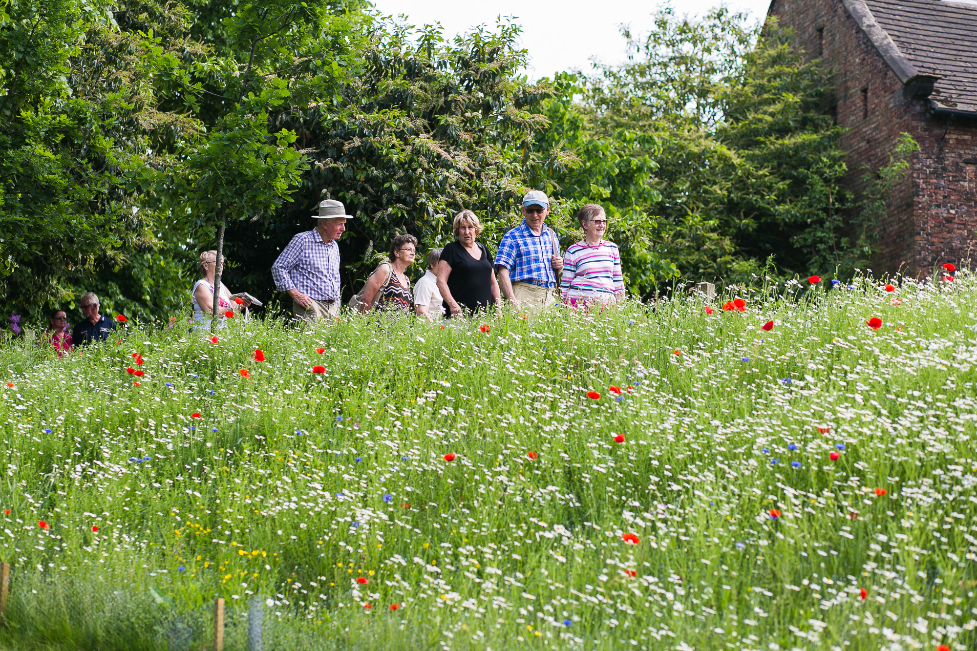 Dunham massey_manchester_tom_biddle_architectural_landscape_photography_tb22.jpg