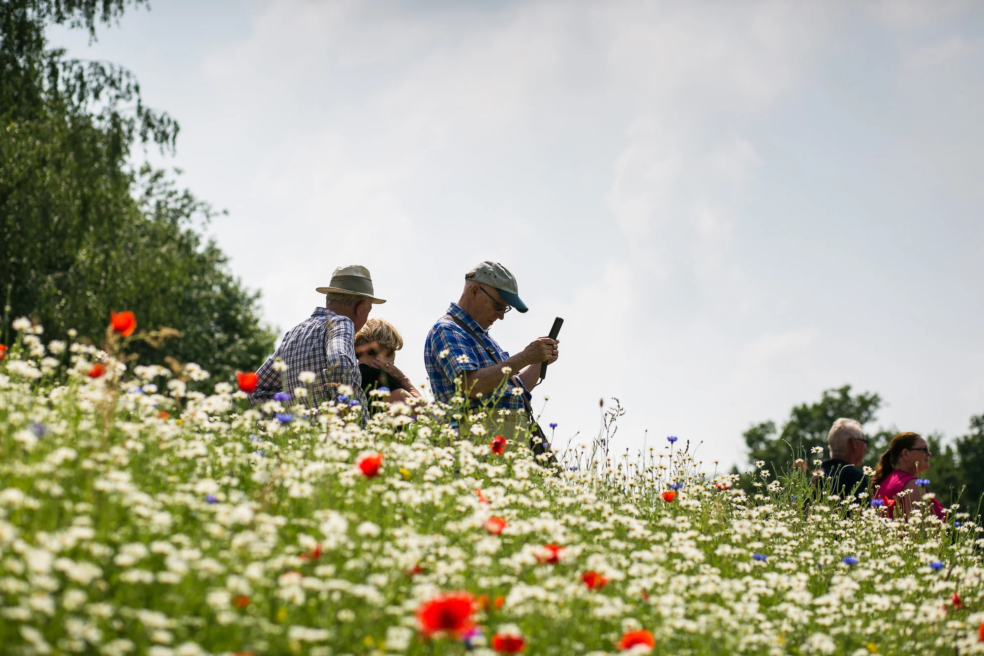 Dunham massey_manchester_tom_biddle_architectural_landscape_photography_tb24.jpg