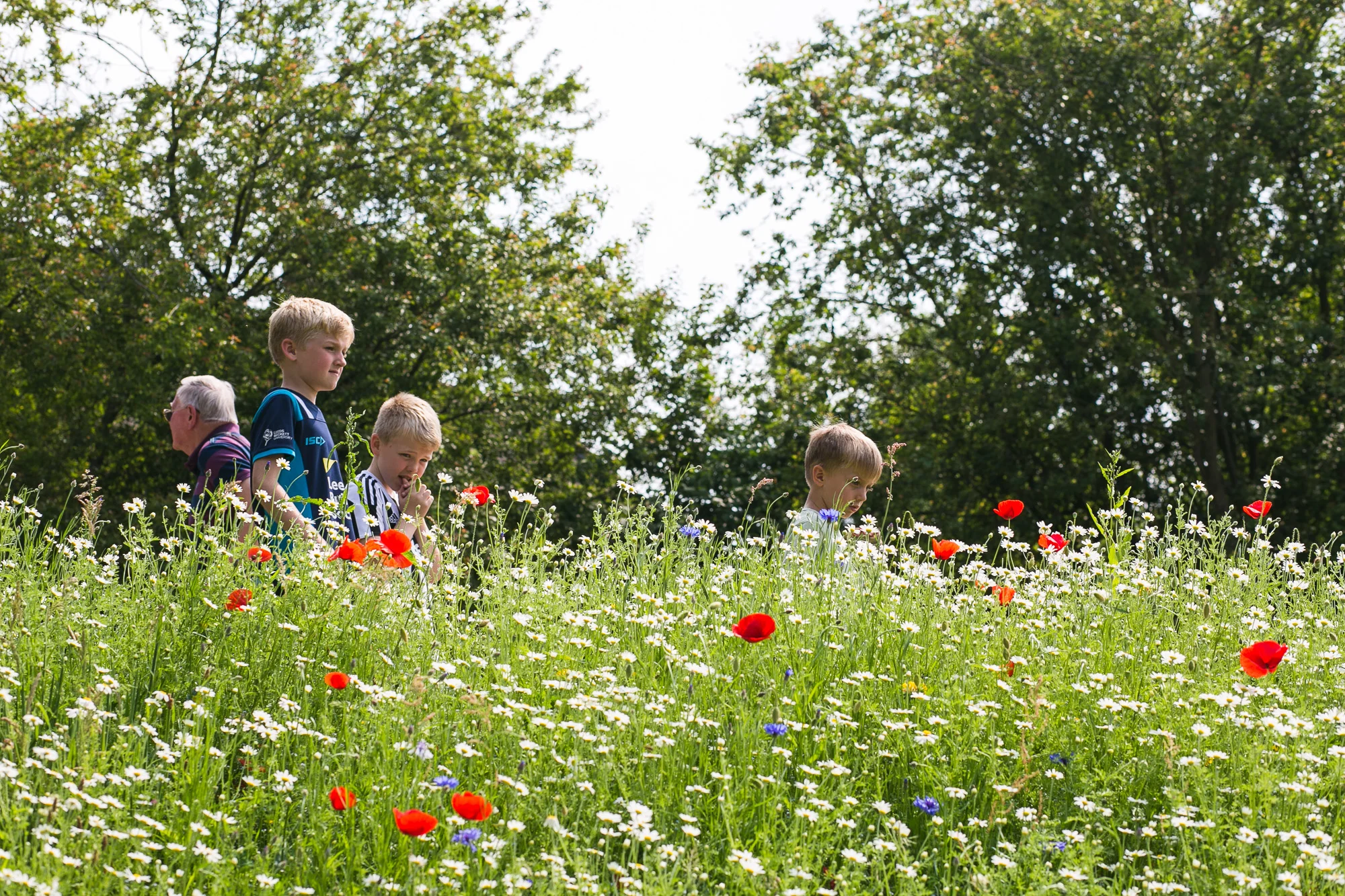 Dunham massey_manchester_tom_biddle_architectural_landscape_photography_tb28.jpg