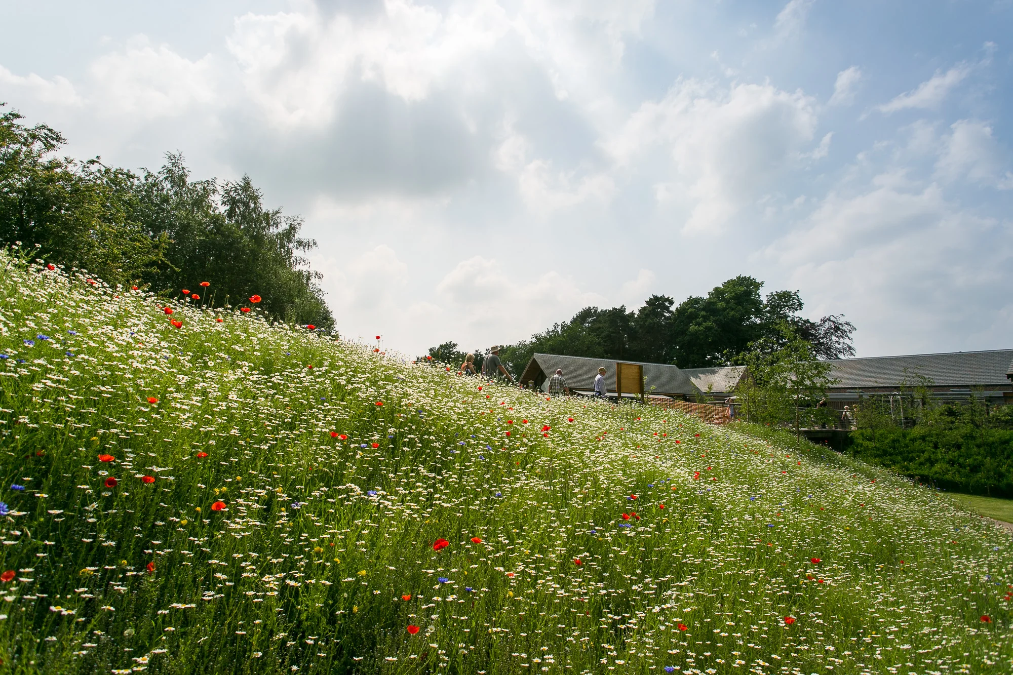 Dunham massey_manchester_tom_biddle_architectural_landscape_photography_tb29.jpg