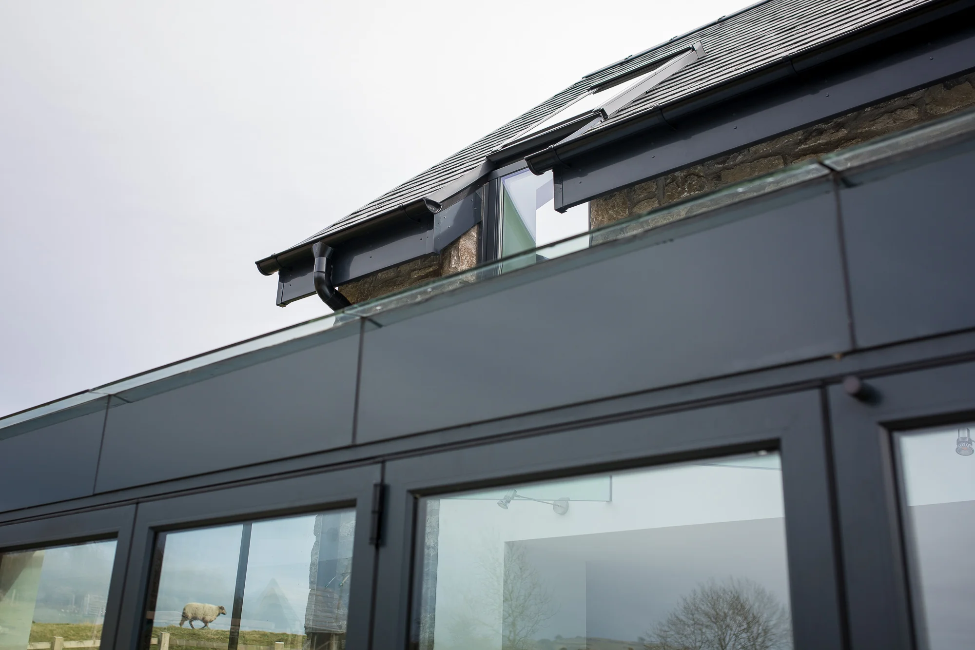 Canol y Cae_D2_Architects_tom_biddle_photography_tb0006.jpg