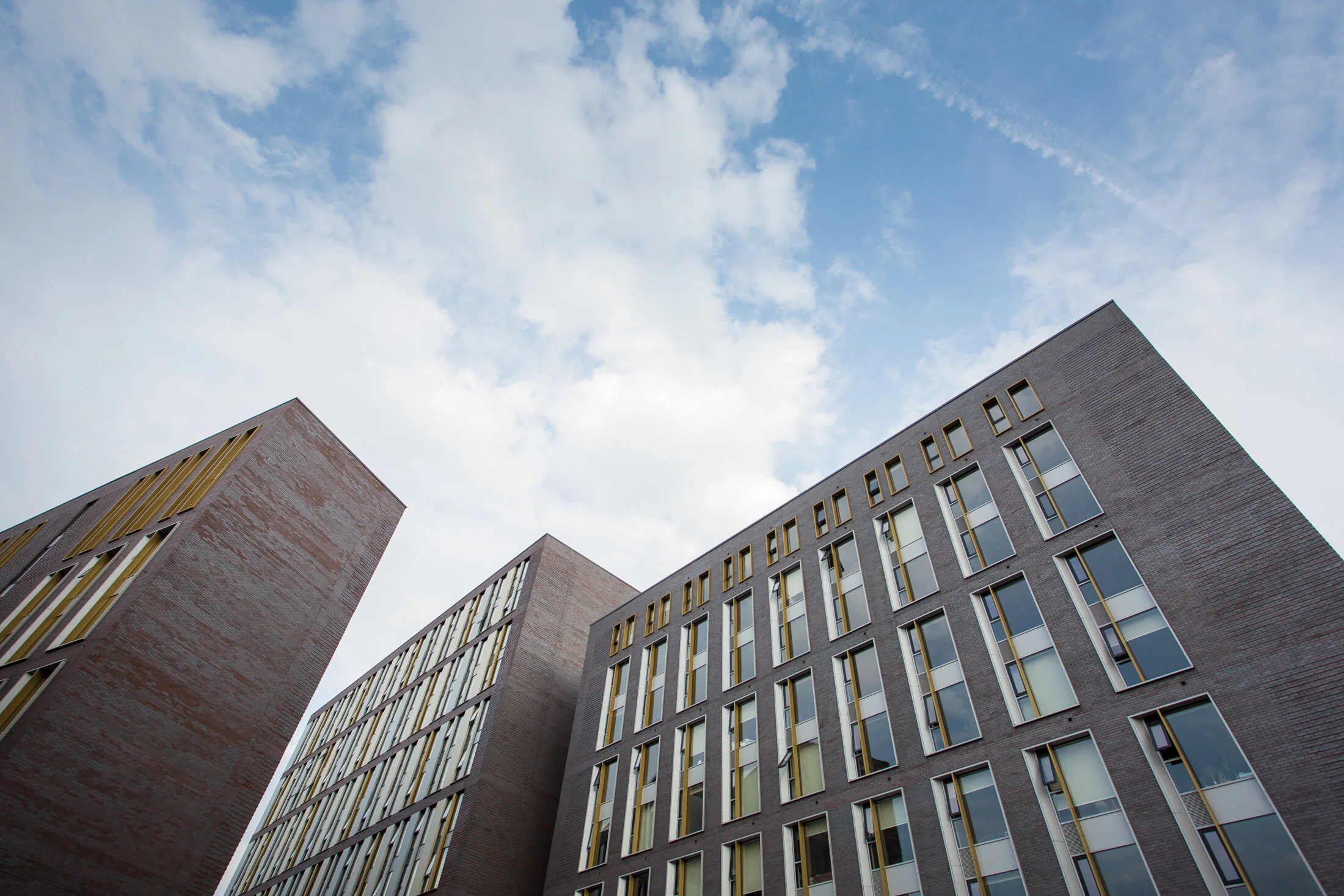 Lockdown mock wedding for Lucy and Andy-0025.jpg