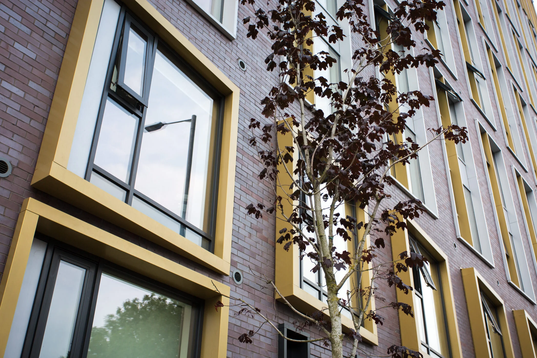 Lockdown mock wedding for Lucy and Andy-0028.jpg