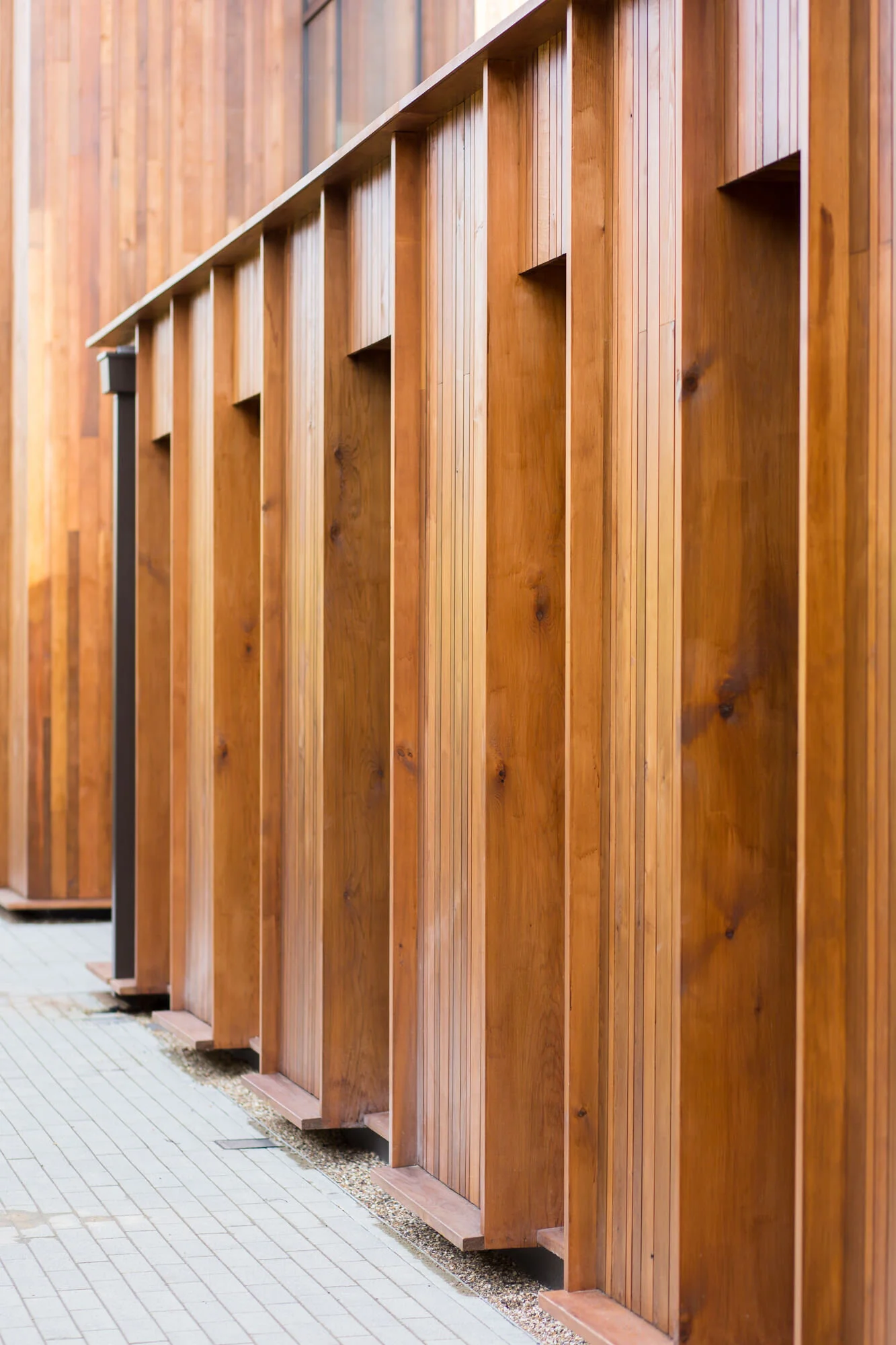 King’s School in Bruton, Somerset_architecture_tom_biddle_photography__-0023.jpg